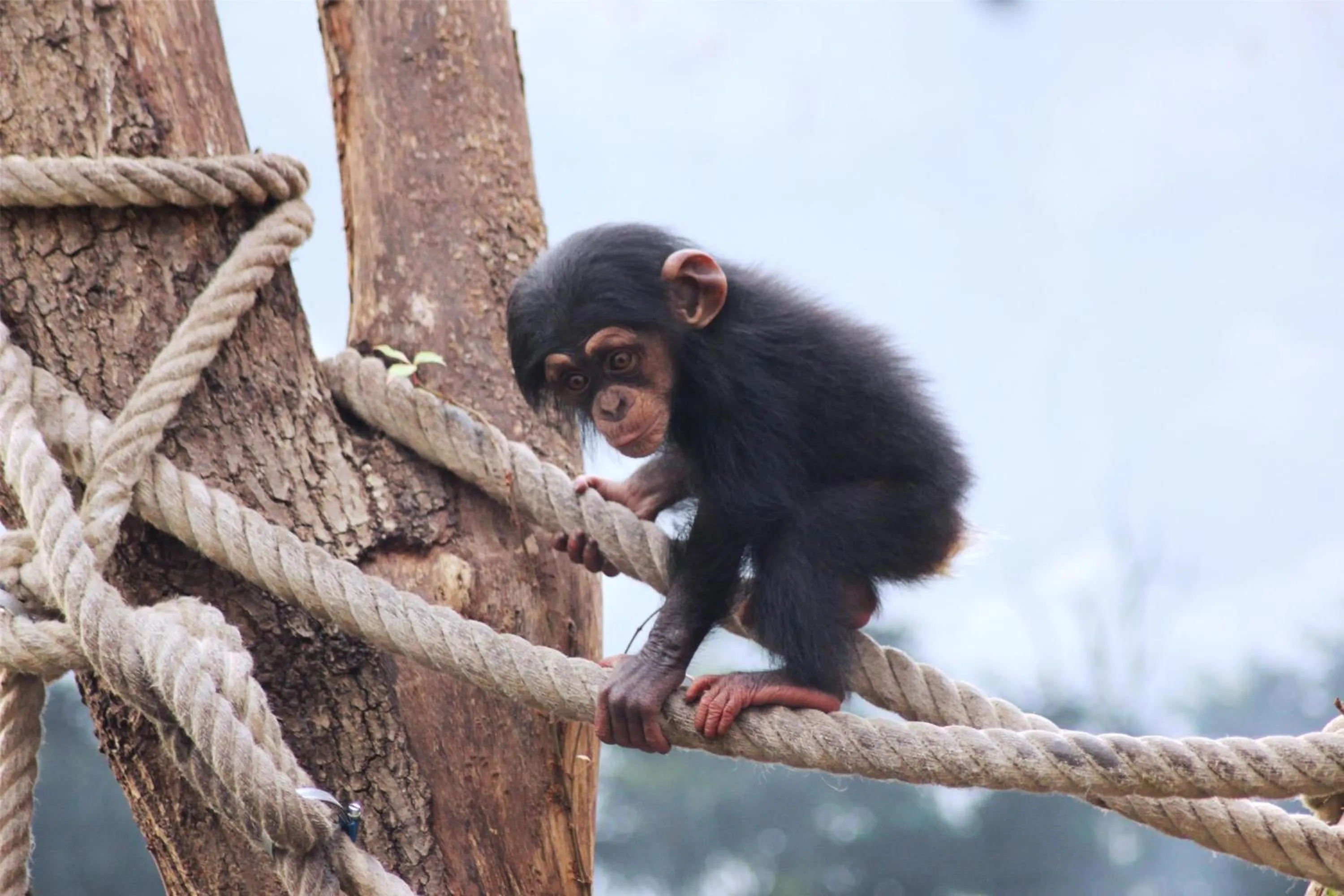 Nearby landmark in Best Western Hotel Hohenzollern