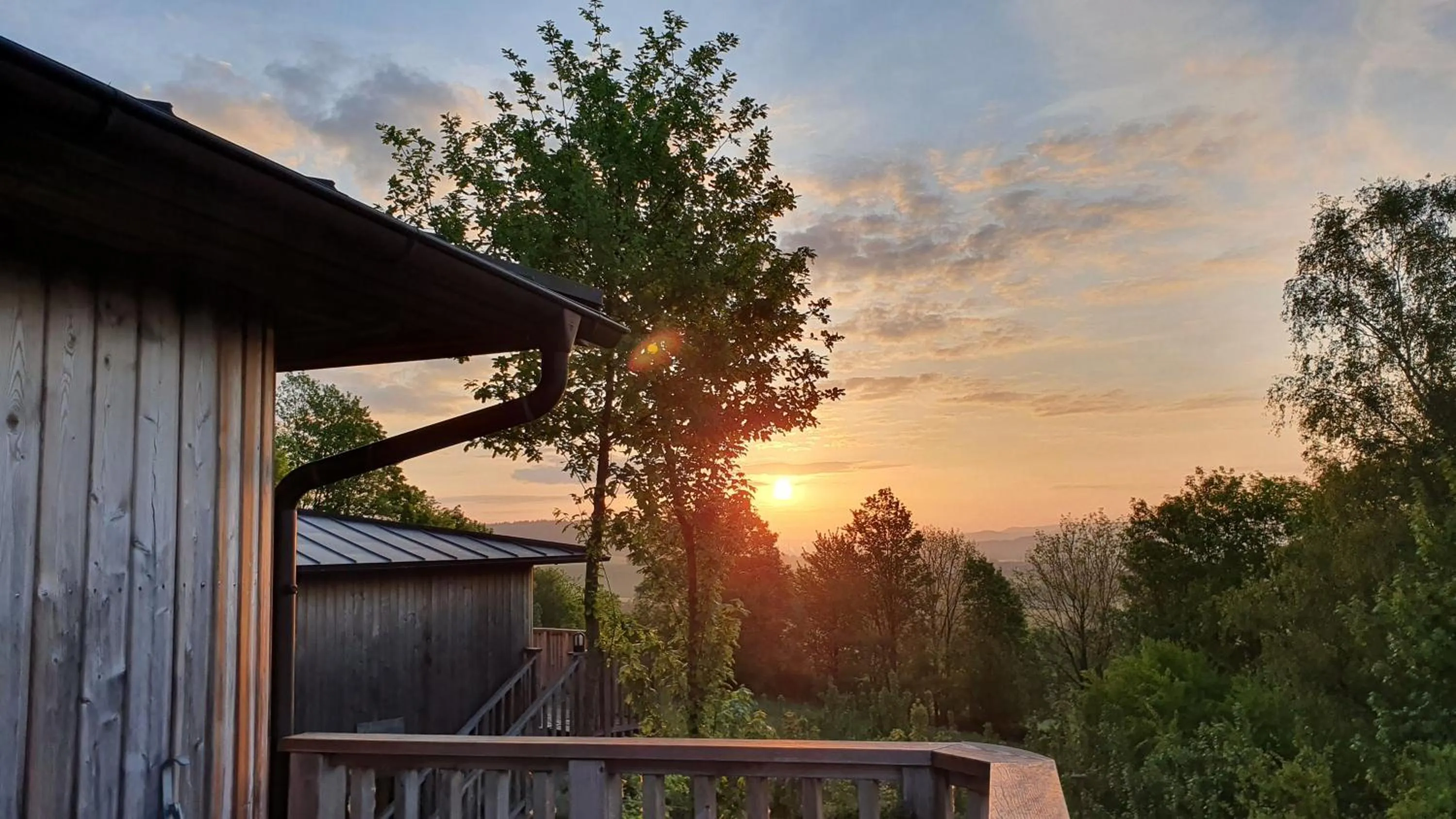 Natural landscape in Hotel Waldquelle - Baumhaushotel Aerzen