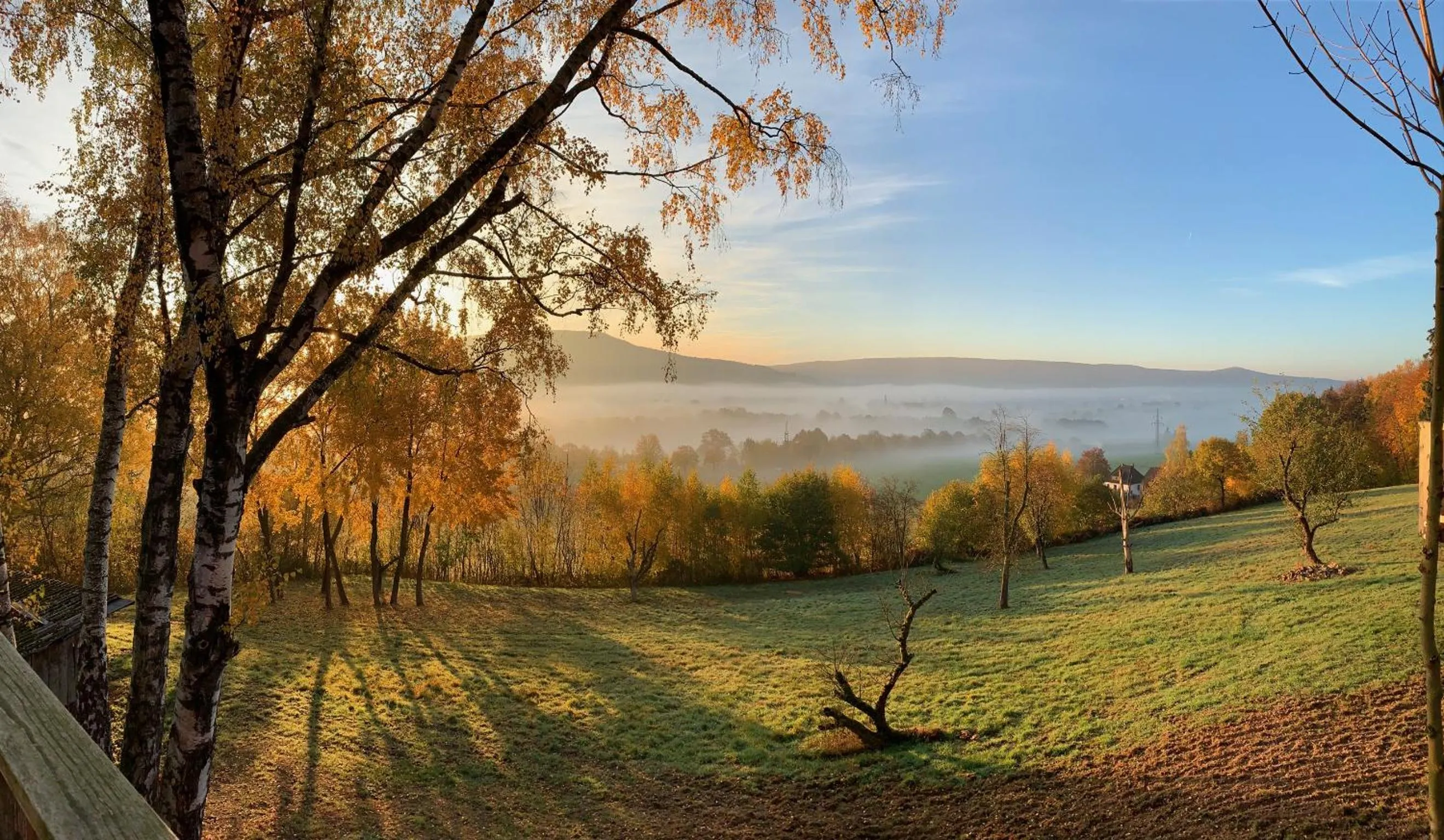 View (from property/room) in Hotel Waldquelle - Baumhaushotel Aerzen