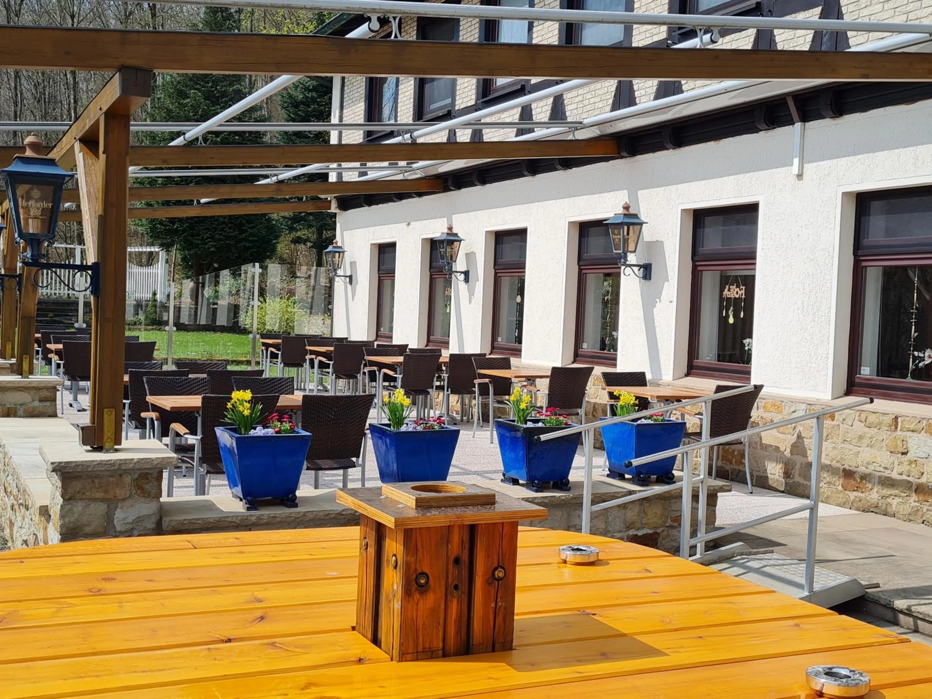 Balcony/Terrace in Hotel Waldquelle - Baumhaushotel Aerzen