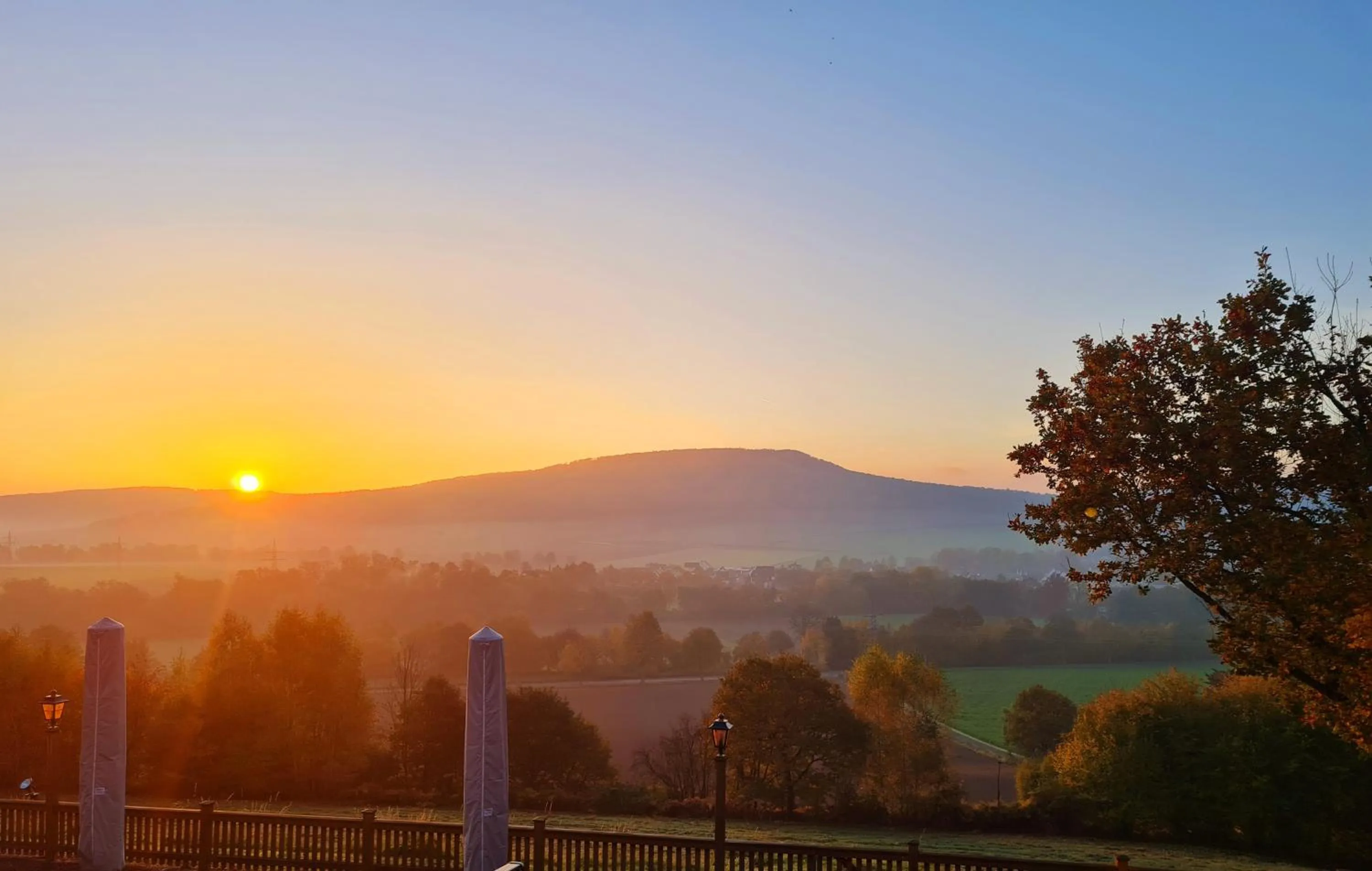 Natural landscape in Hotel Waldquelle - Baumhaushotel Aerzen