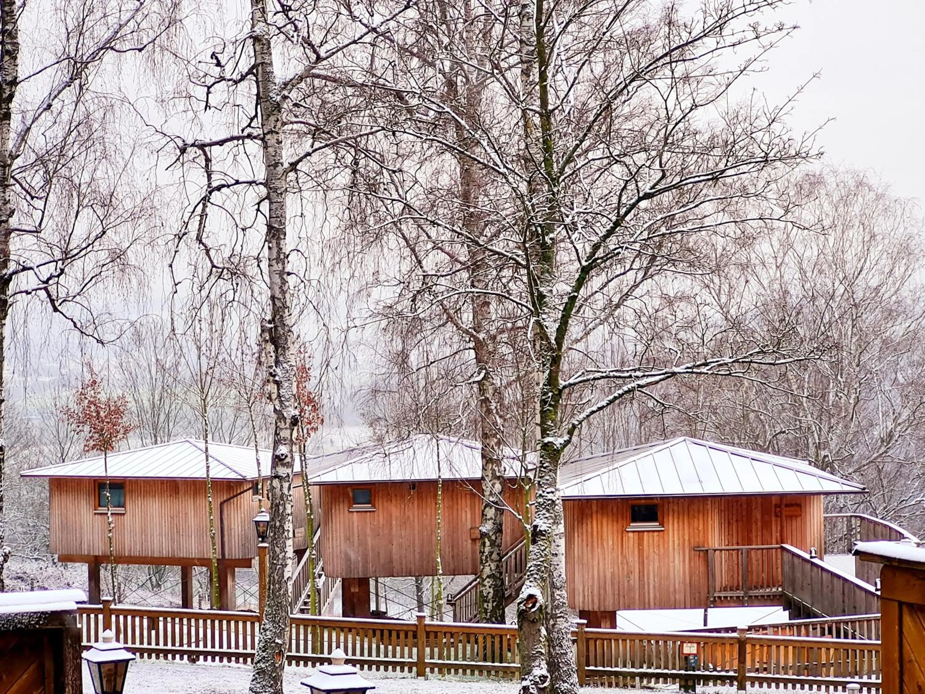 Property building in Hotel Waldquelle - Baumhaushotel Aerzen