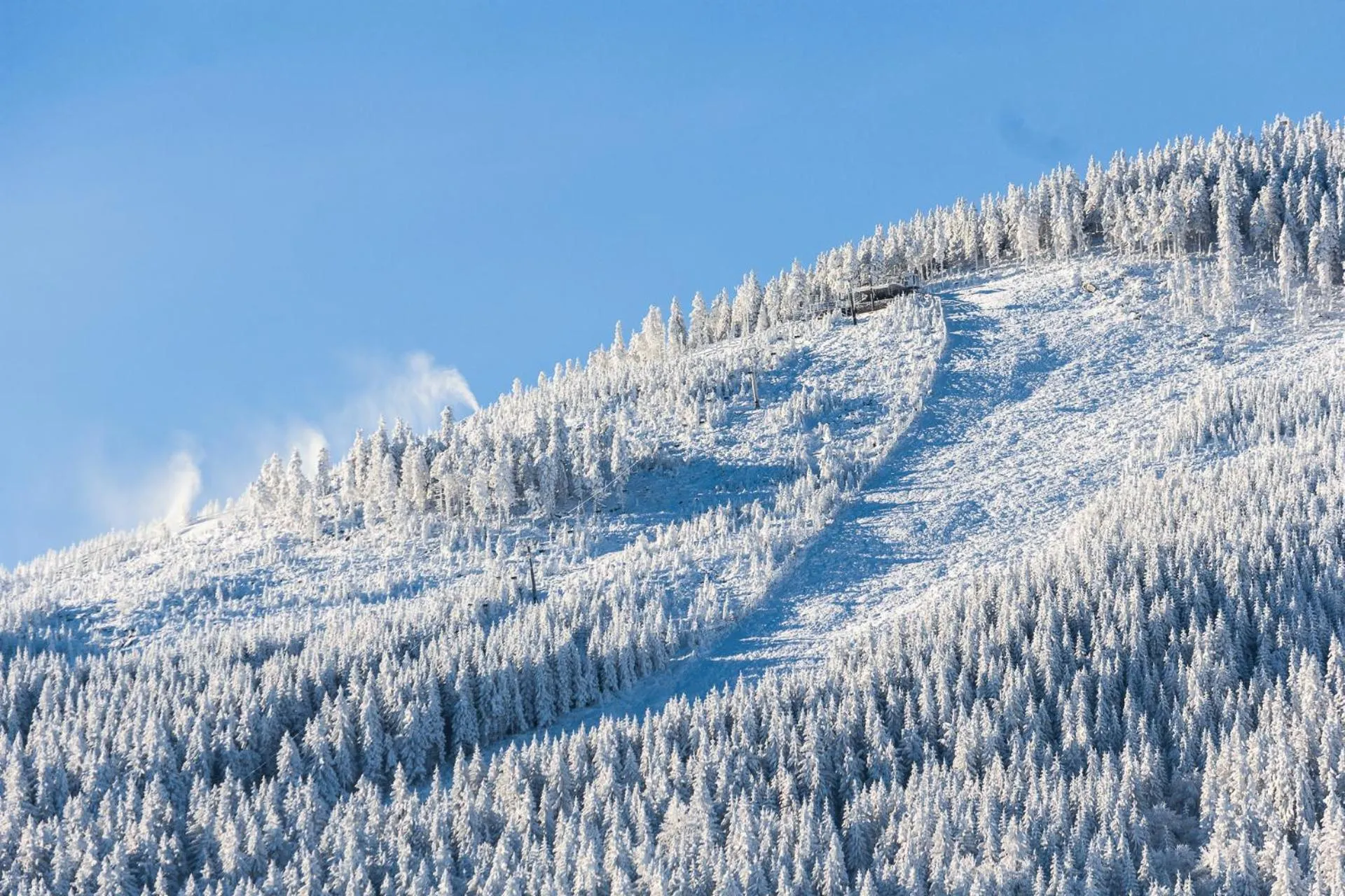 Kosówka Czarna Góra