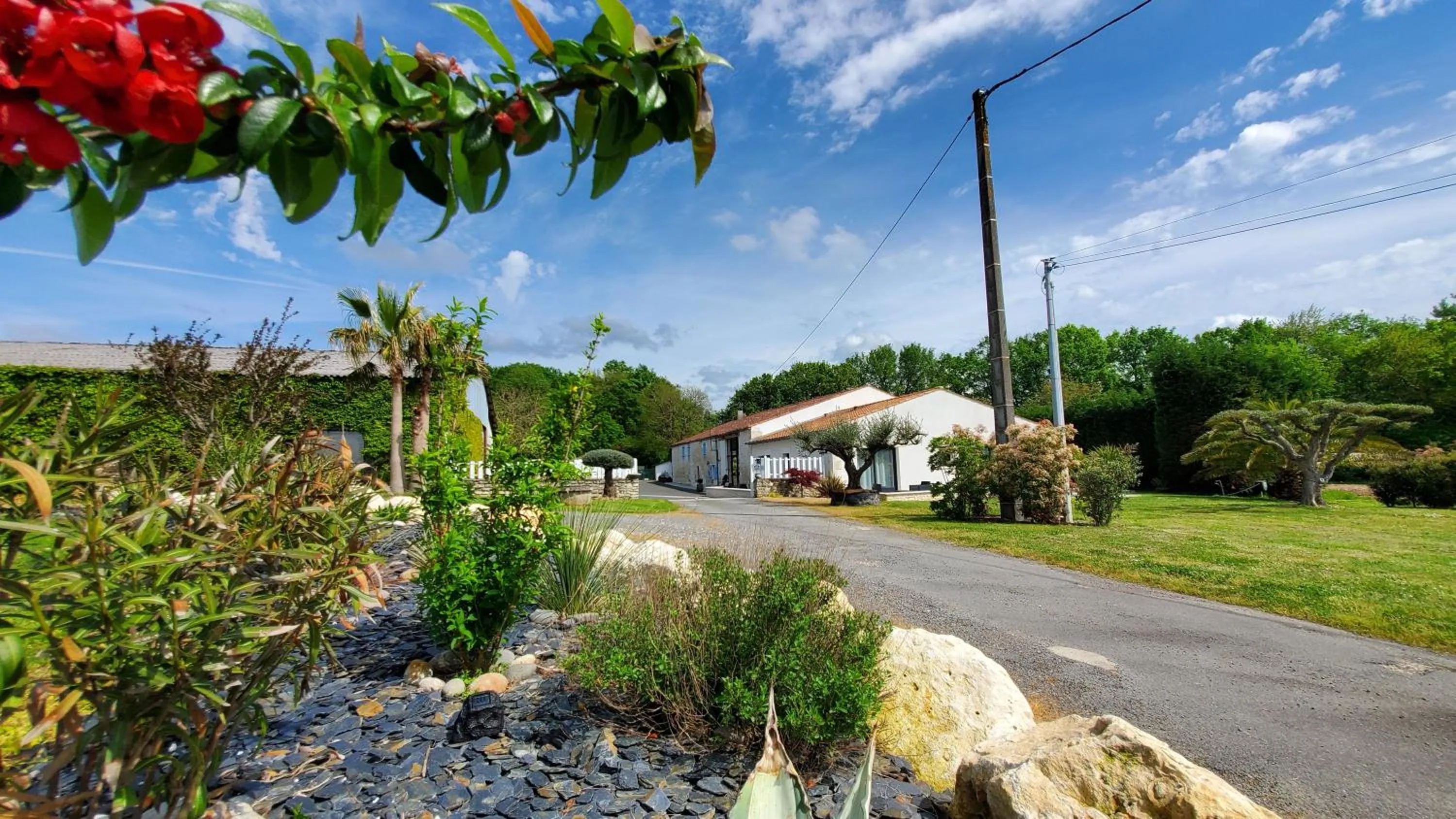 Garden in Les Cuves - Saintes