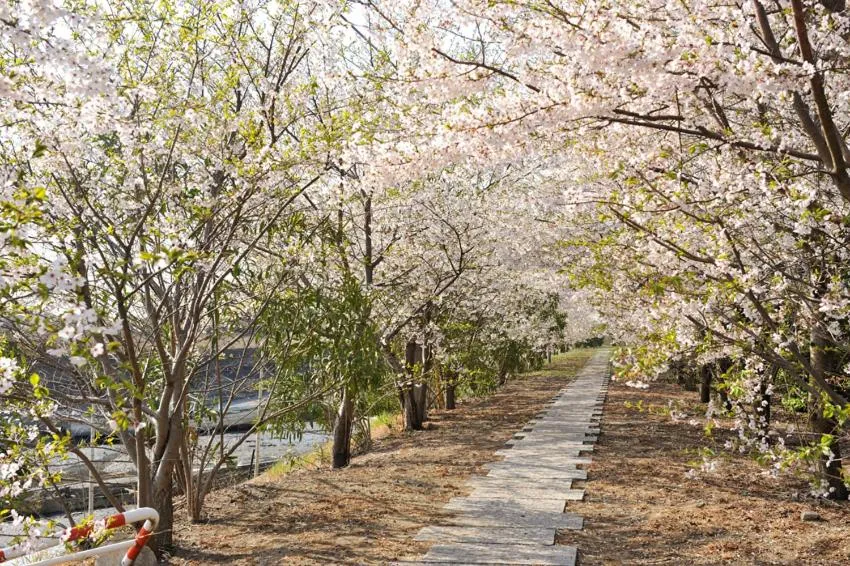 Ryugujo Spa Hotel Mikazuki Ryugutei