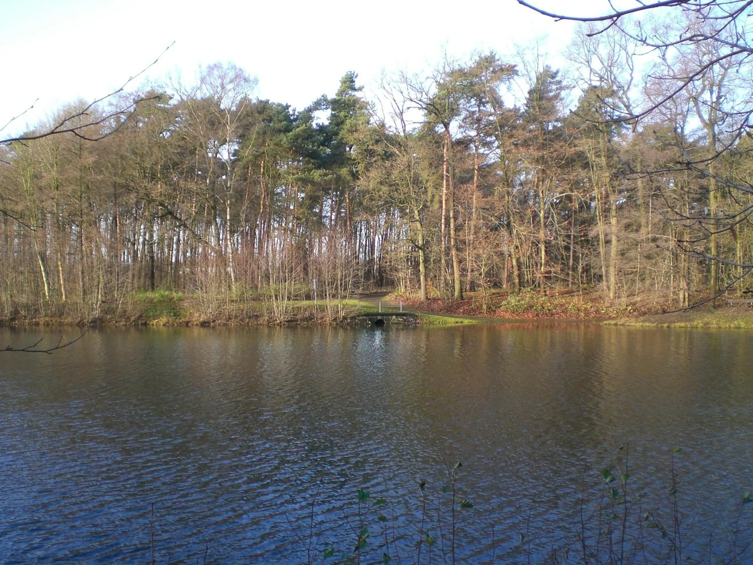 Garden in Hotel Wintersmühle