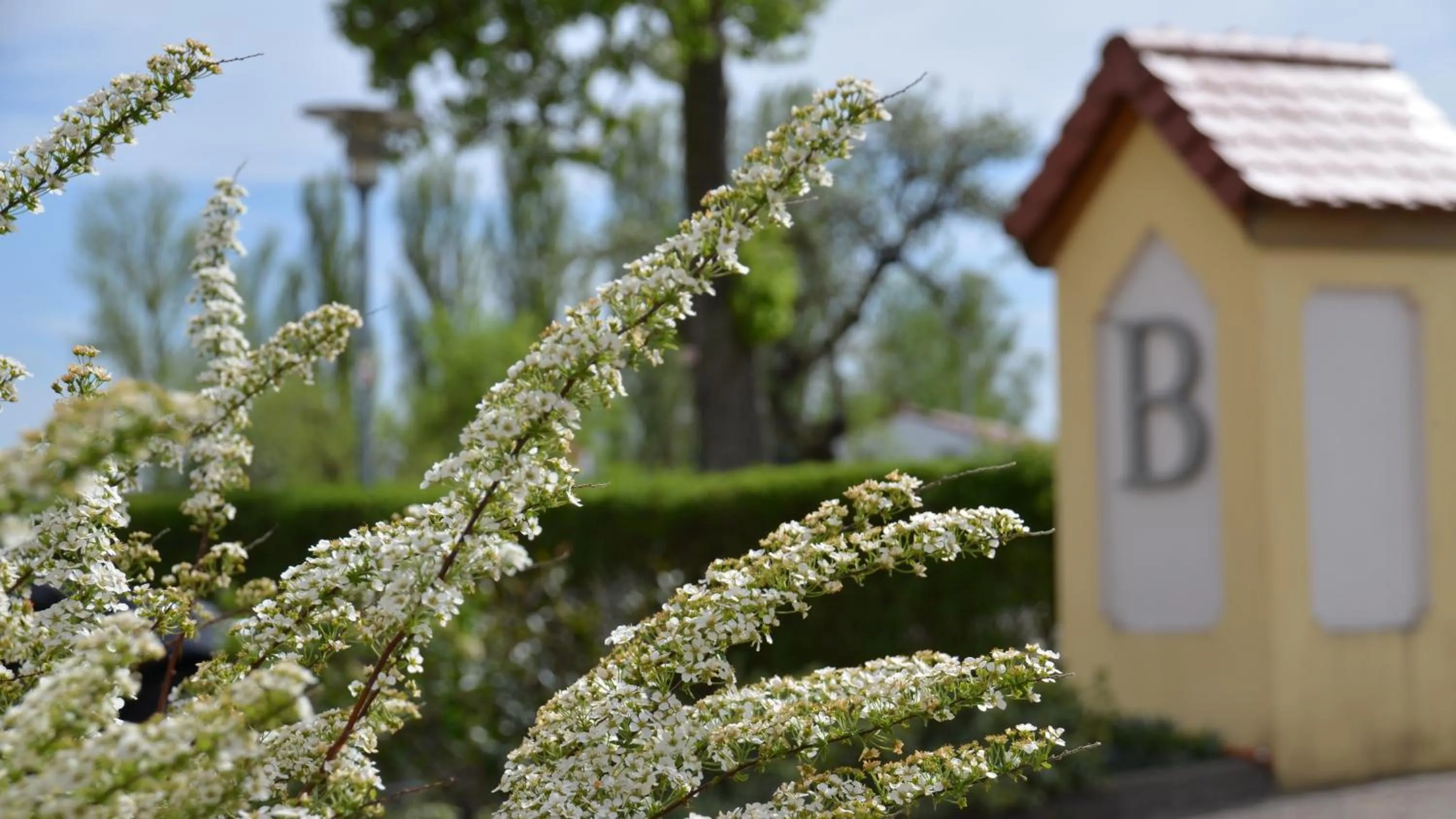 View (from property/room) in Hotel Bergwirt