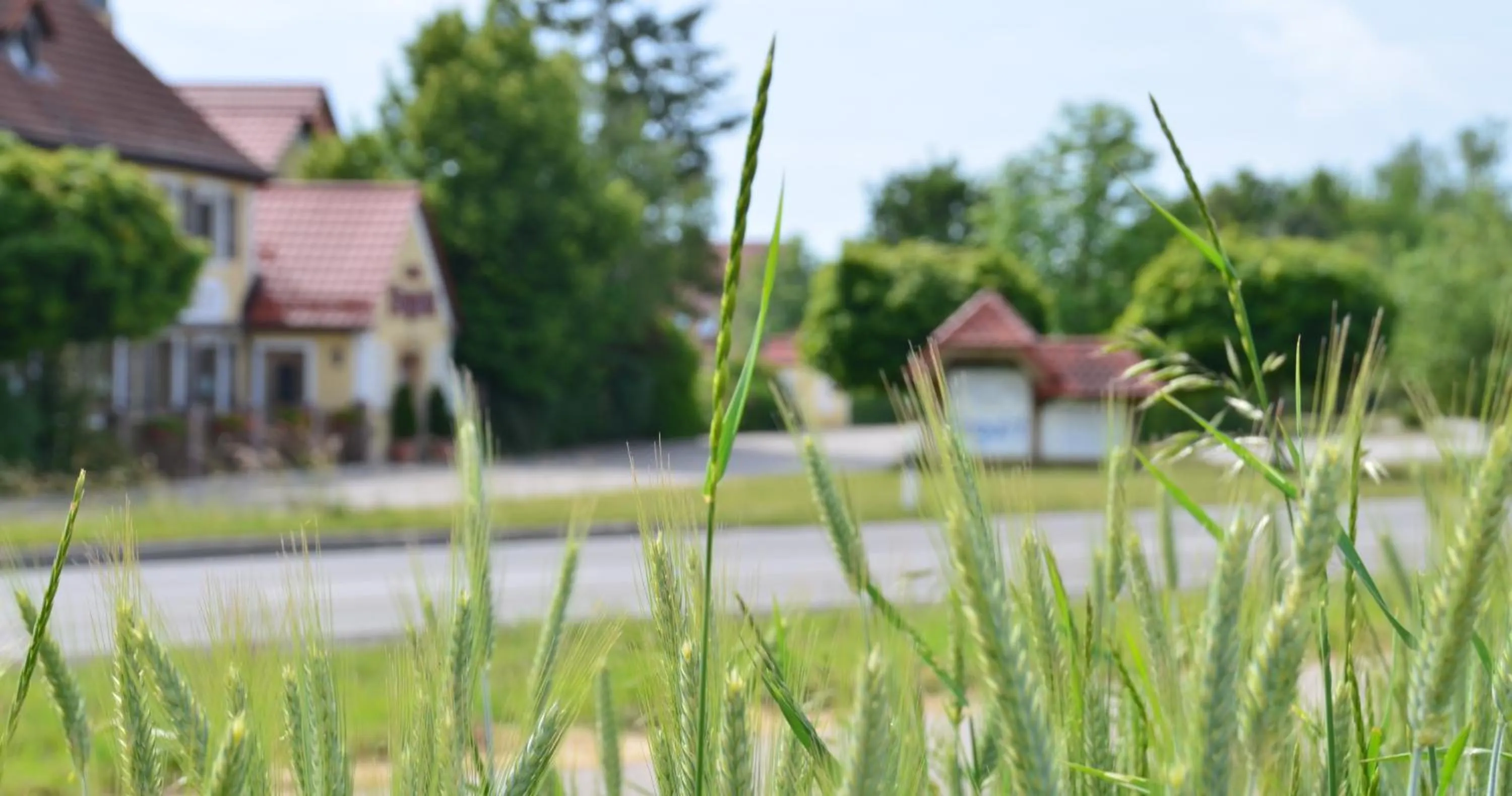 View (from property/room) in Hotel Bergwirt