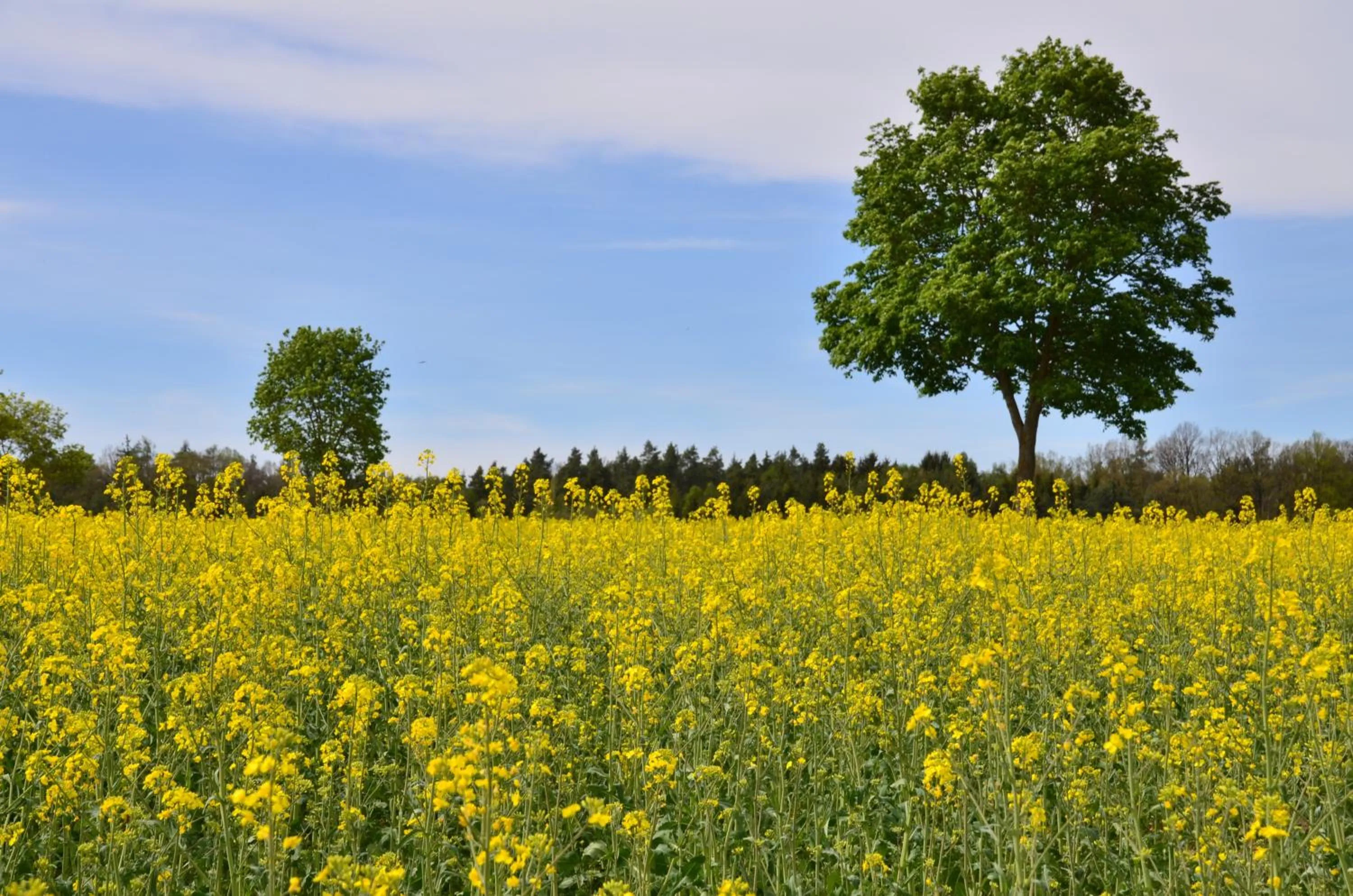 View (from property/room) in Hotel Bergwirt