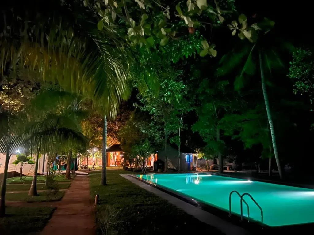 Night in La Dolce Vita