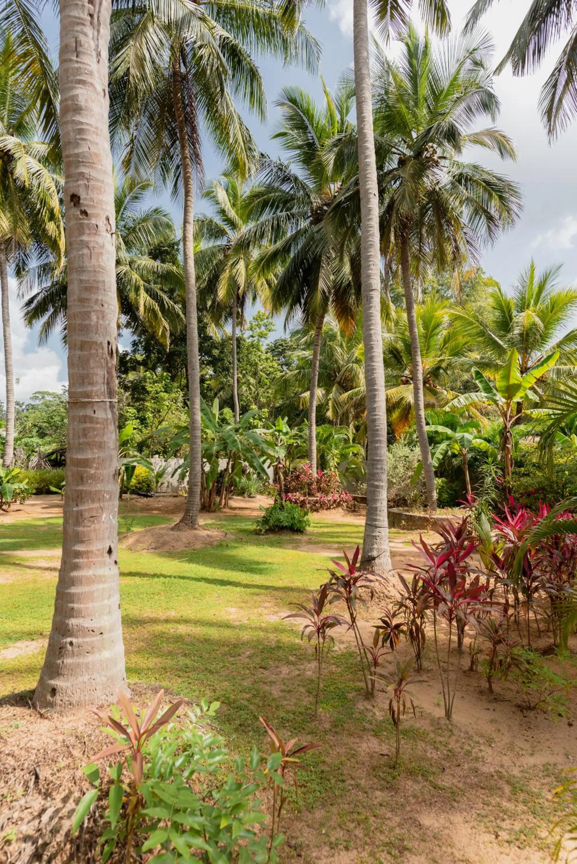Garden in La Dolce Vita