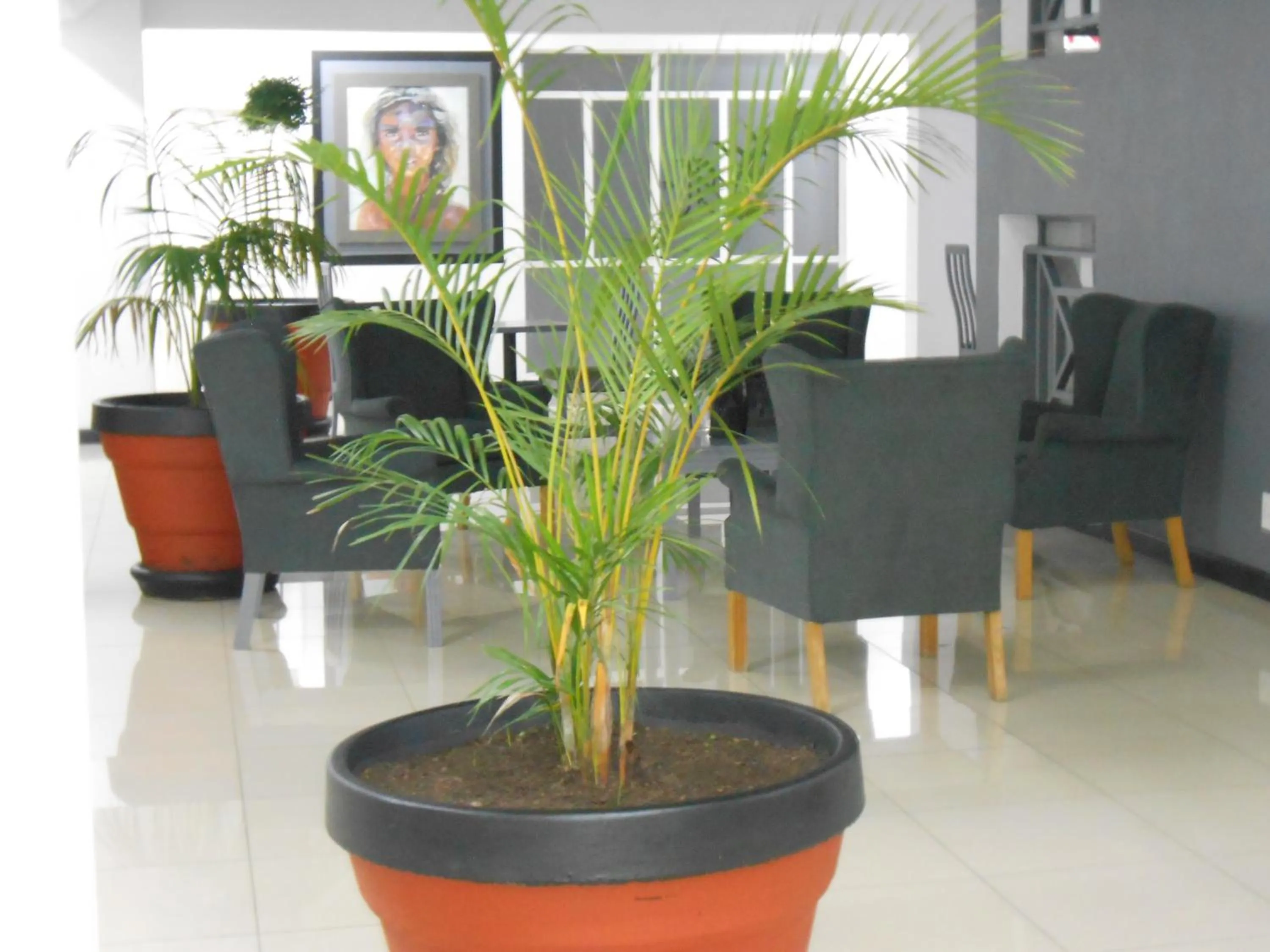Seating area in The Jack Rose Hotel, Rosebank, Gautrain