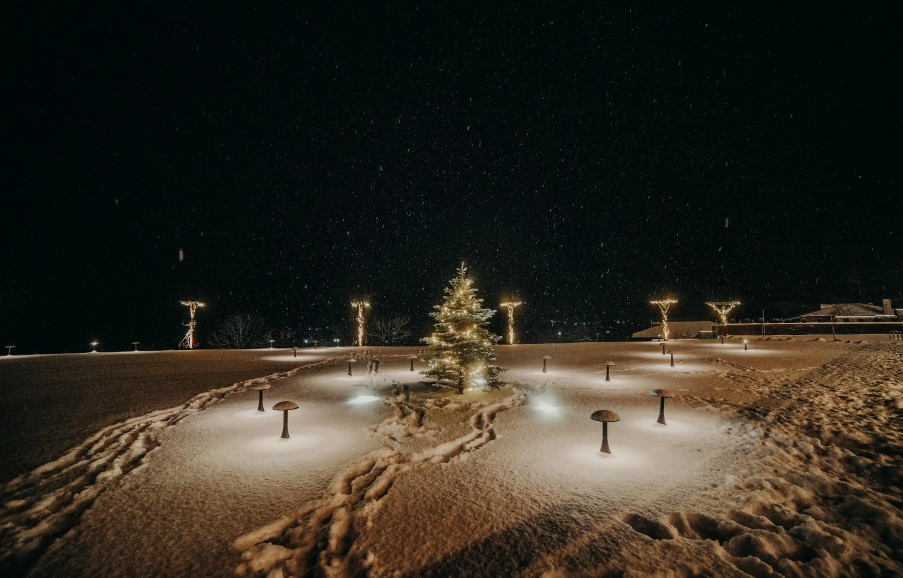 Winter in Mtserlebi Resort