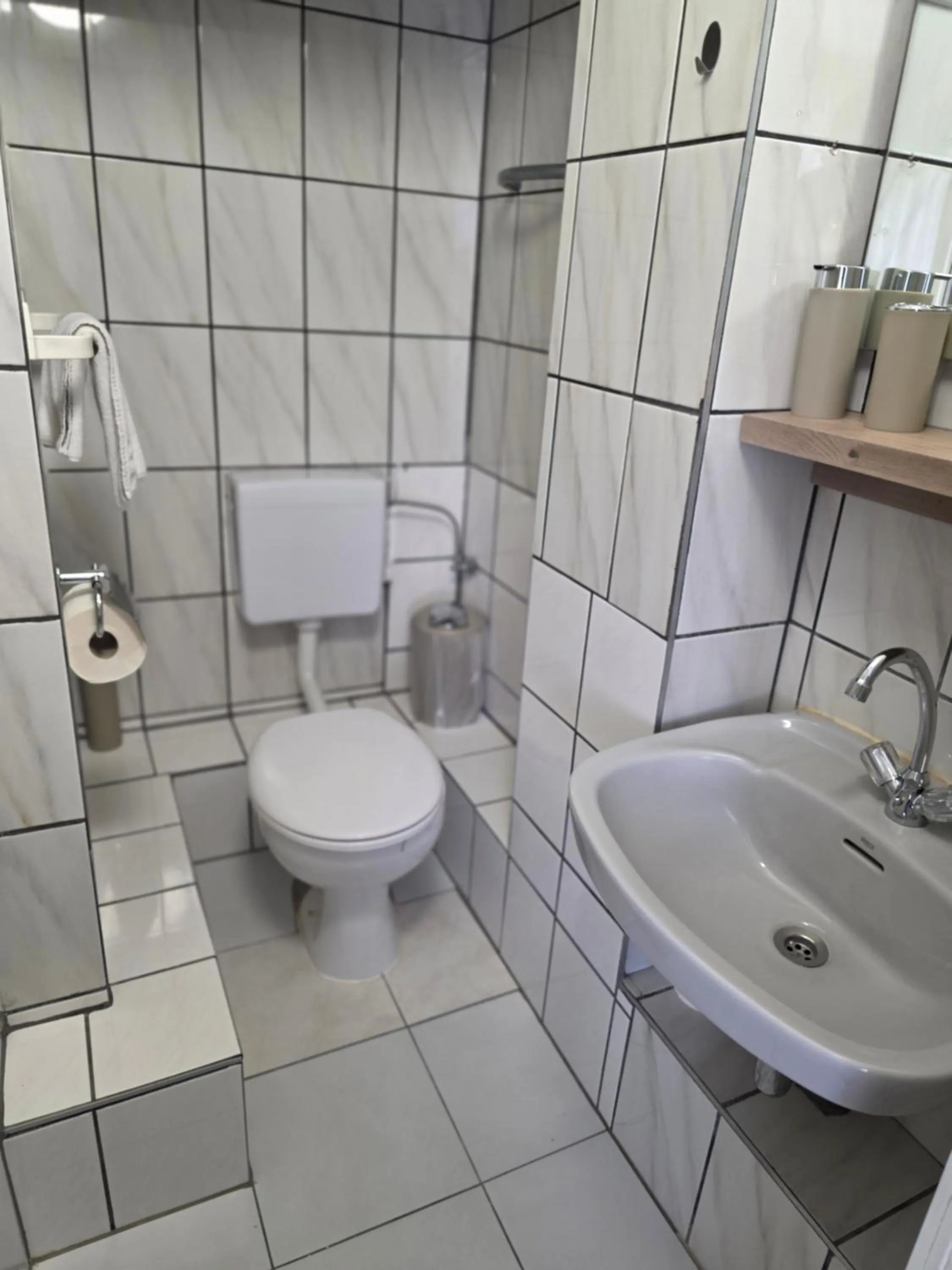 Toilet in Liebig-Hotel