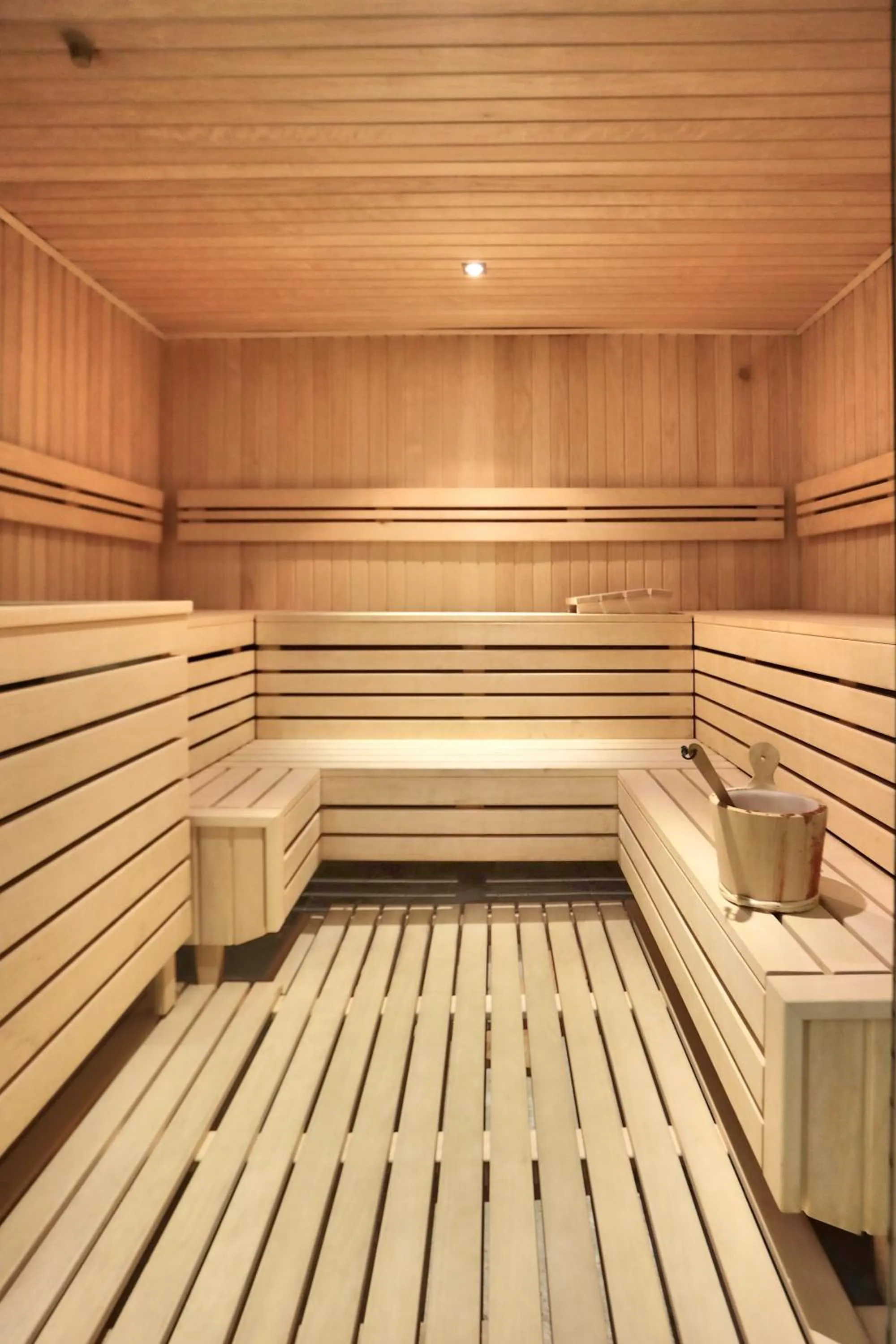 Sauna in Château de Béguin