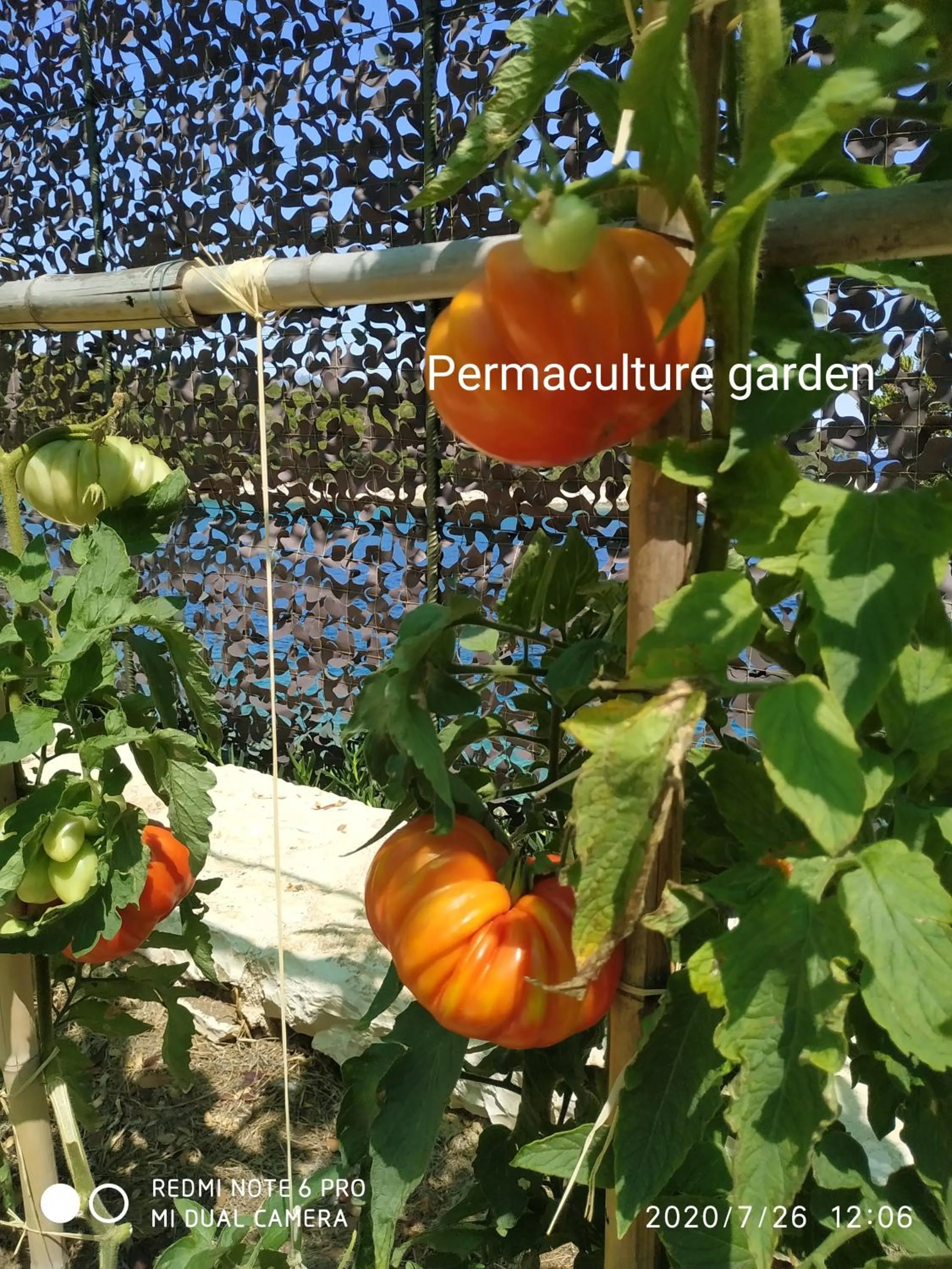 KEROMOUSSI SEASIDE BOUTIQUE HOTEL - Adult only