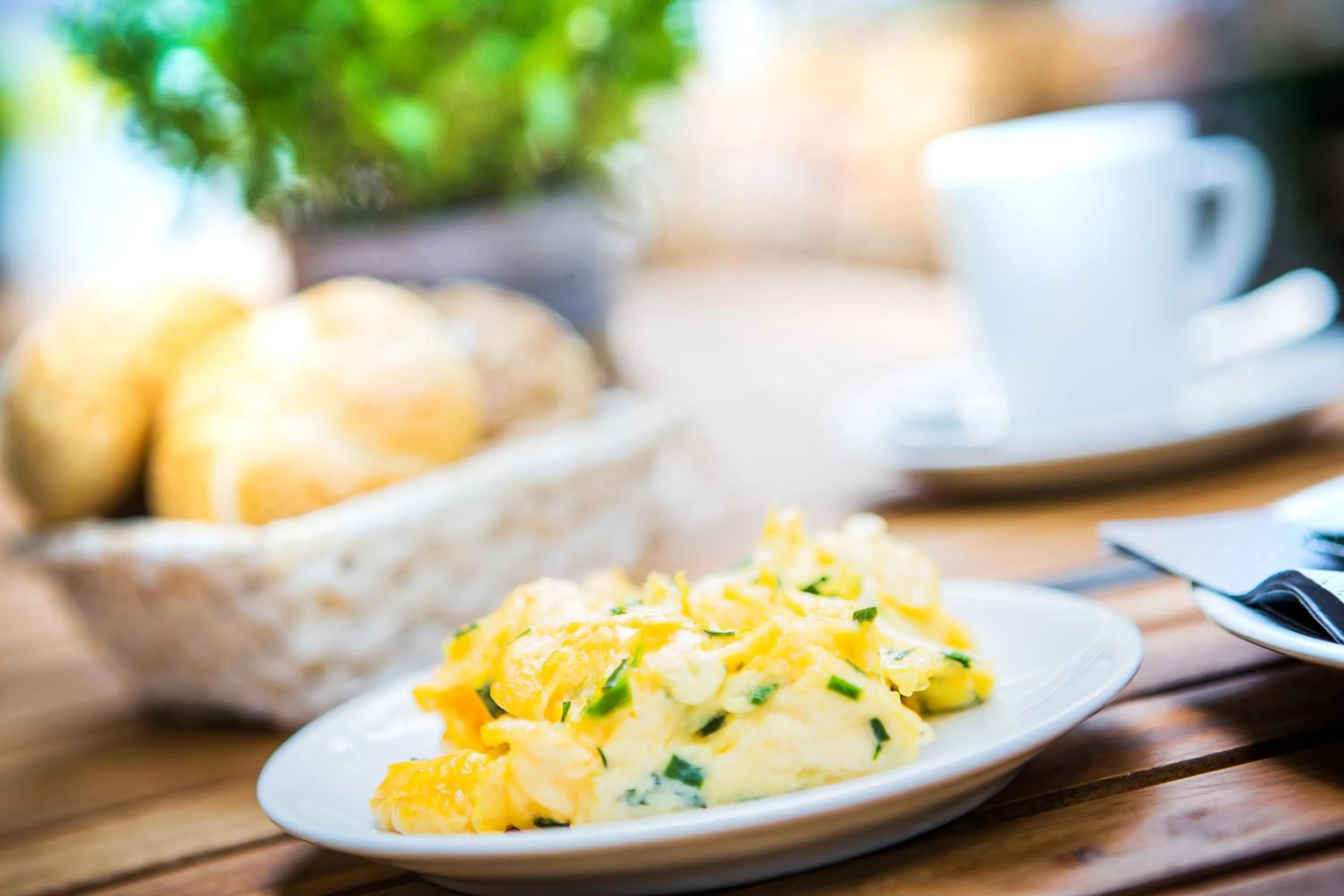 Restaurant/places to eat in Anna 1908