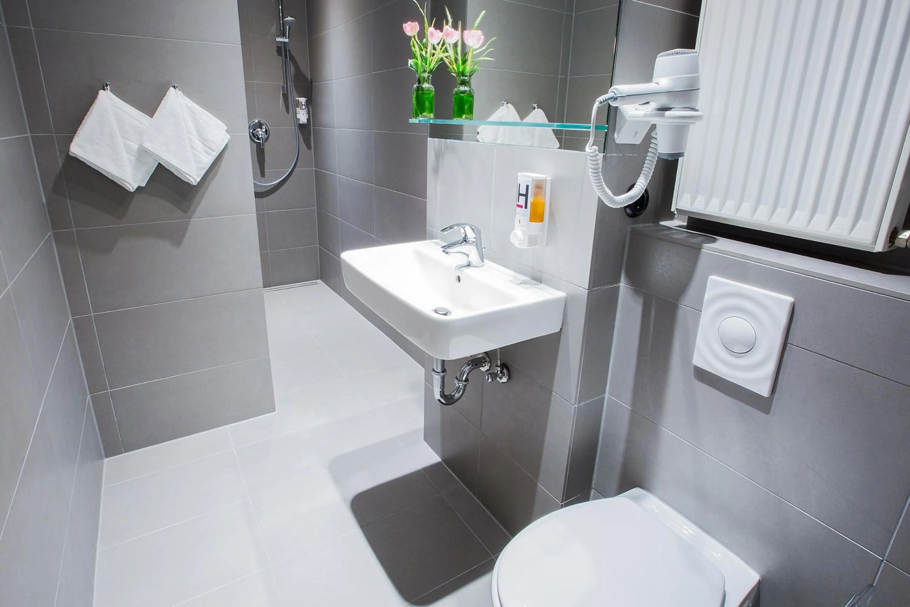 Bathroom in Anna 1908