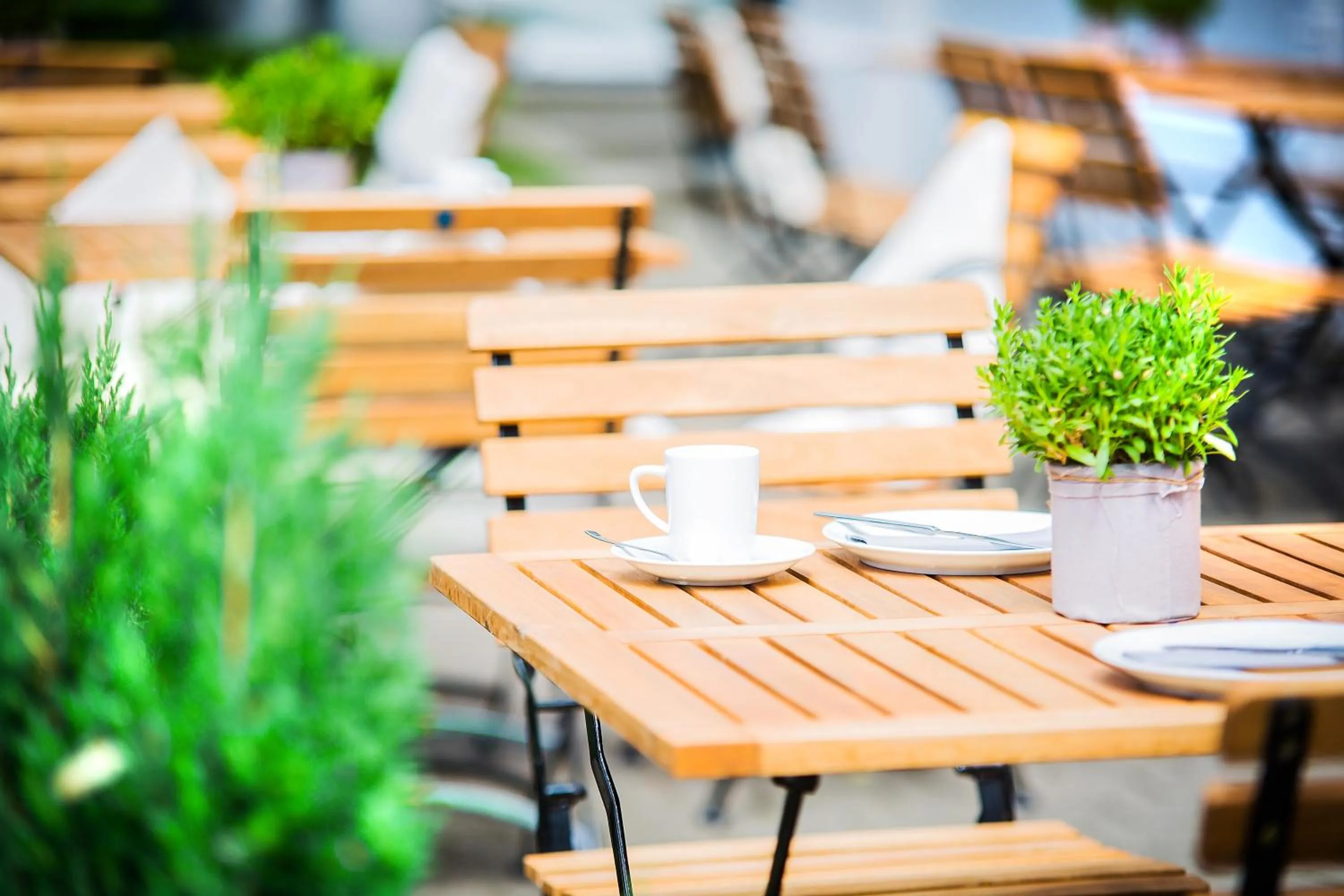 Restaurant/places to eat in Anna 1908