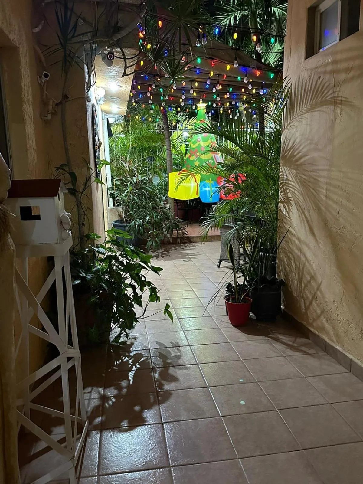 Night in Hotel posada MARCAS