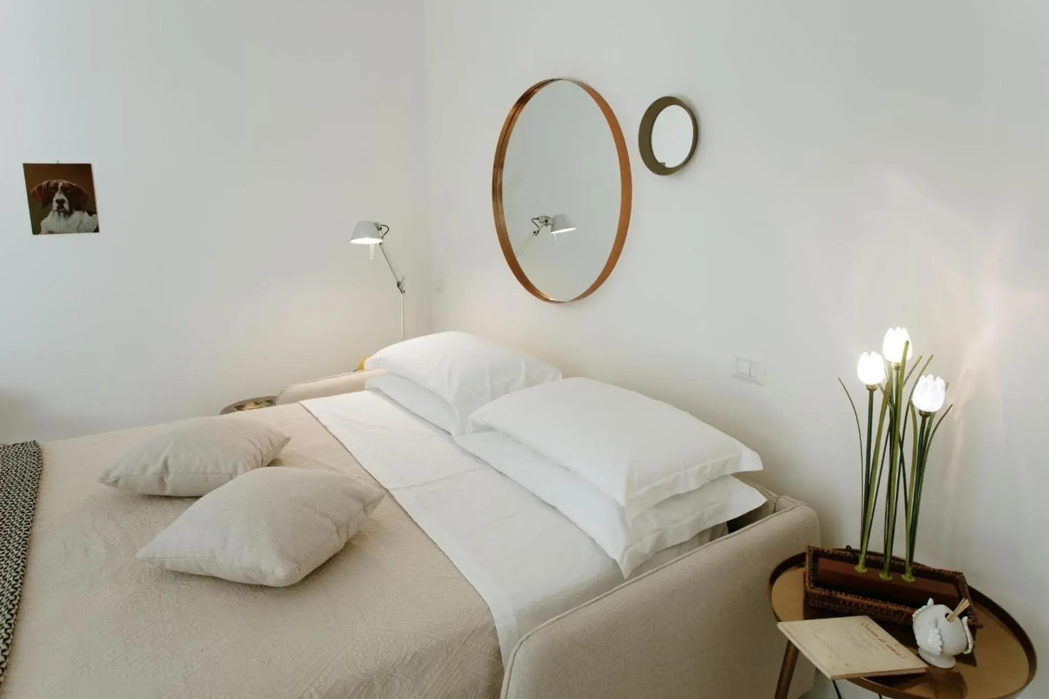 Apartment in Villa Rosa Resort Apartment in Villa Rosa Resort
