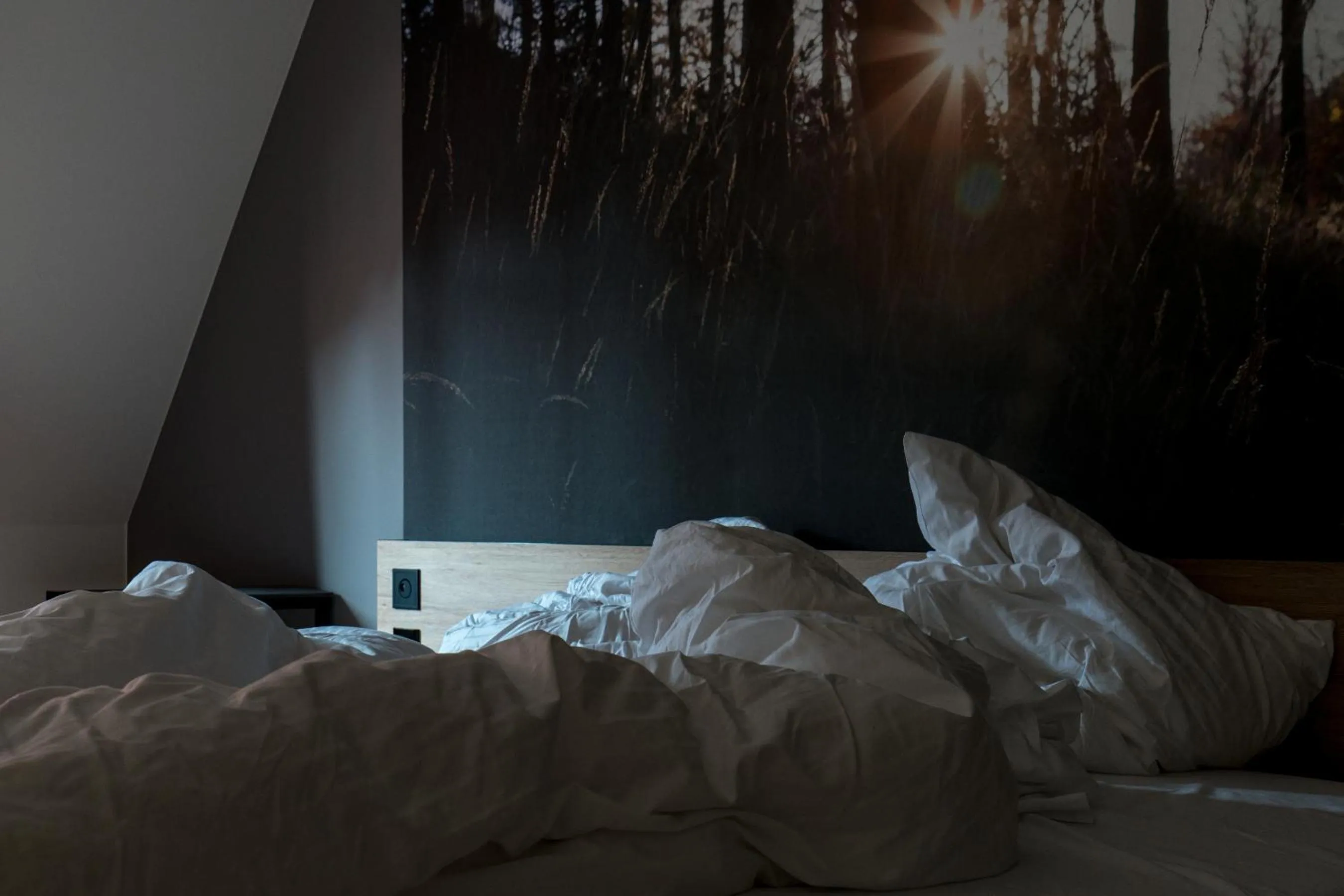 Bed in Hotel Schwarzwälder Hof