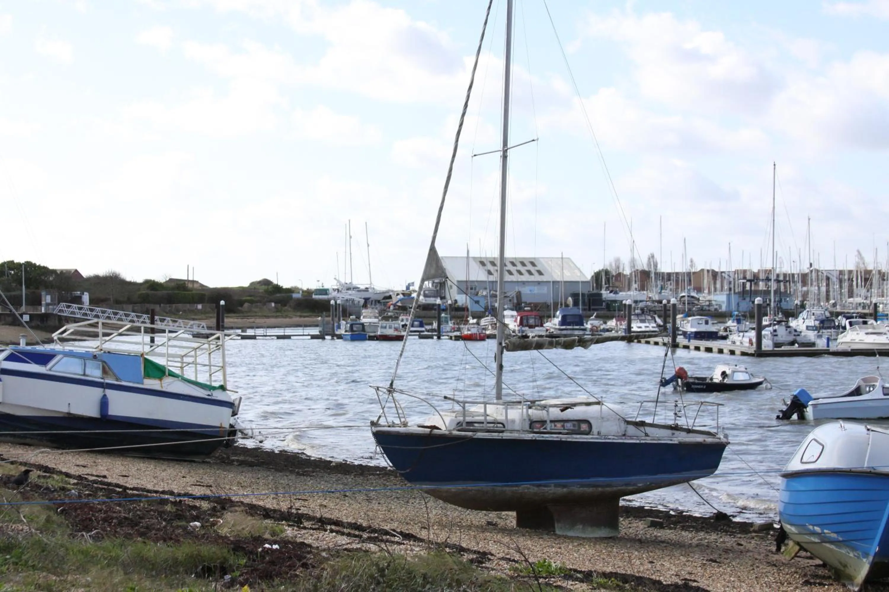 Other in College Street Abode