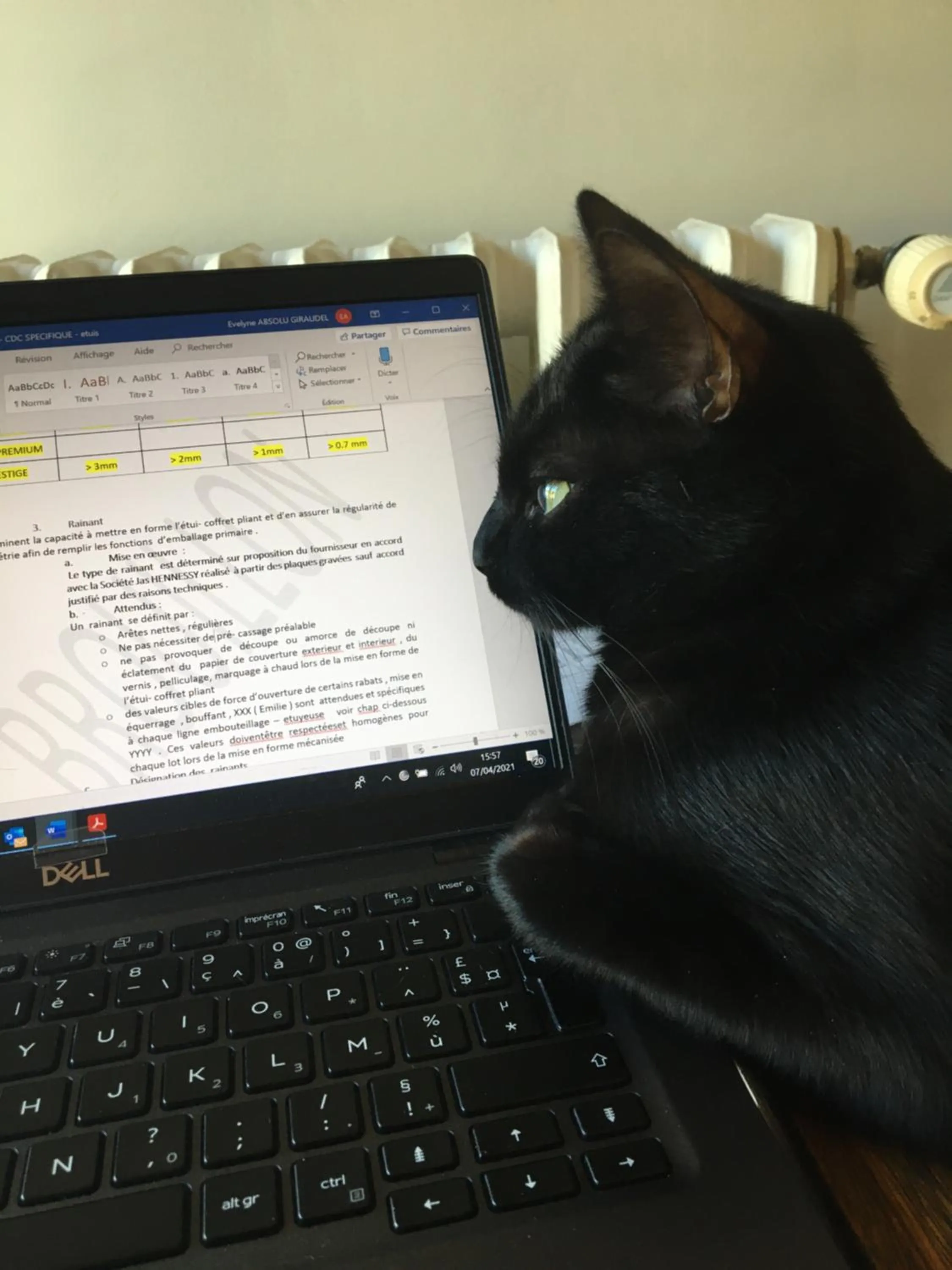 Property building in Suite en Terrasse à Cognac