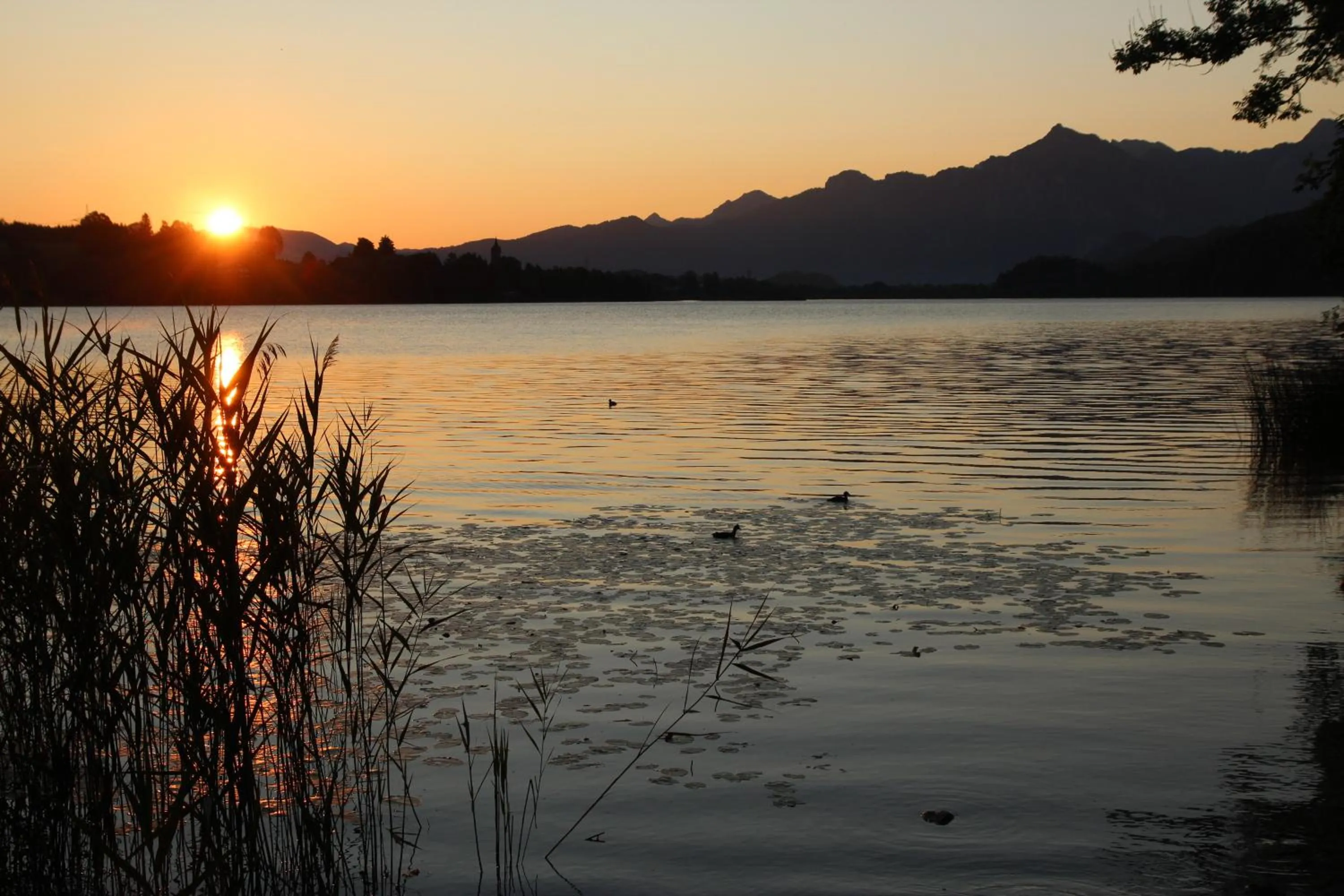 Natural landscape in Hotel Ruchti - Zeit für mich