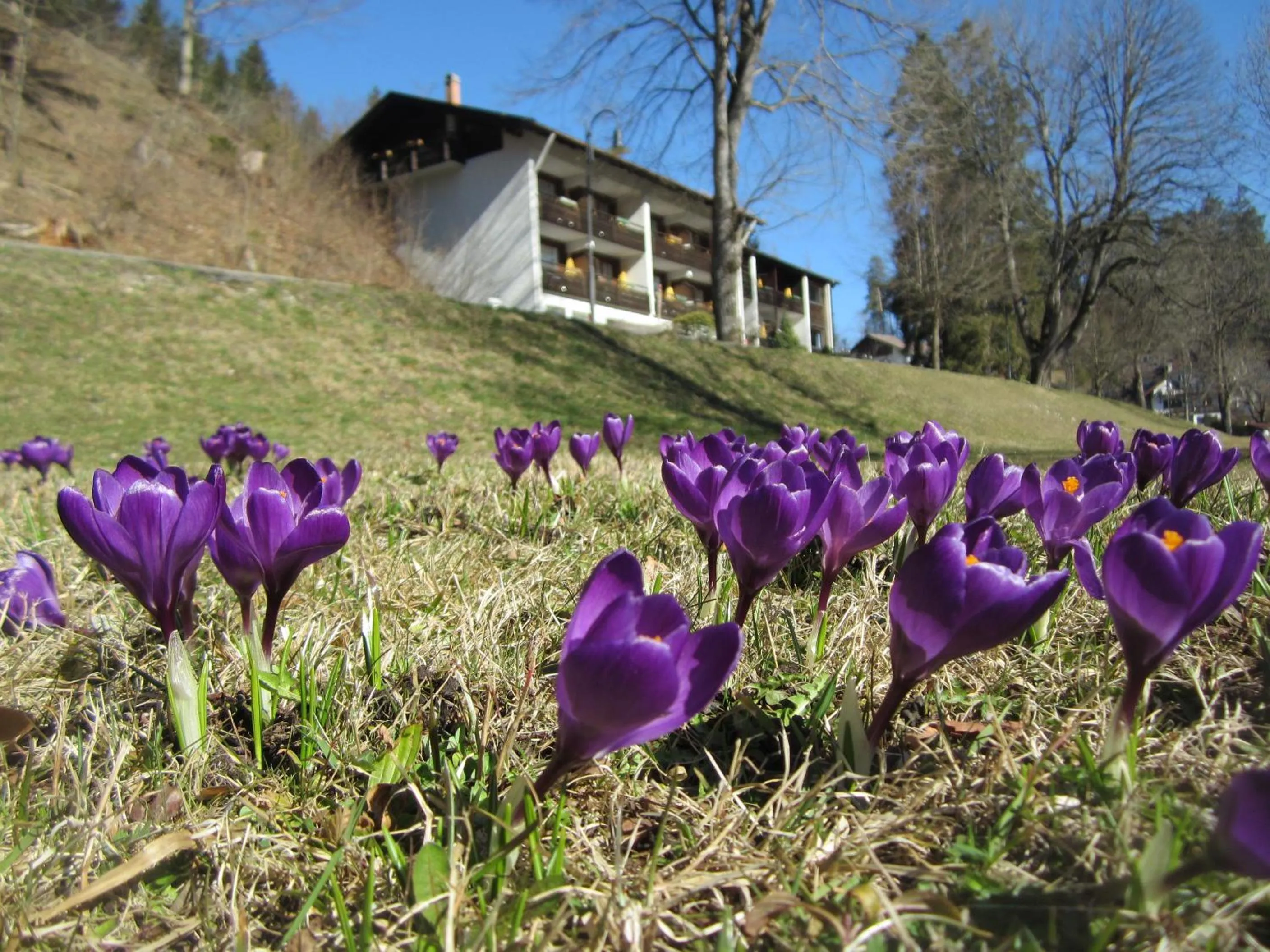 Property building in Hotel Ruchti - Zeit für mich
