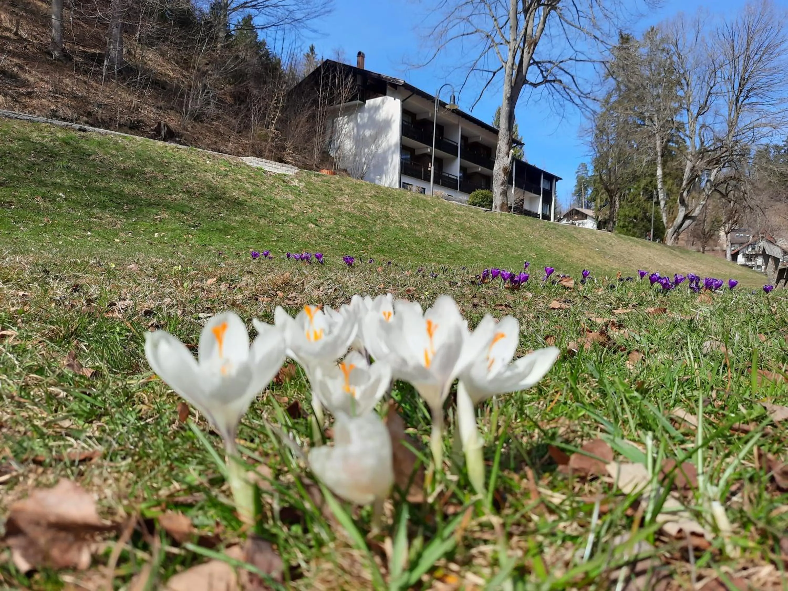 Property building in Hotel Ruchti - Zeit für mich
