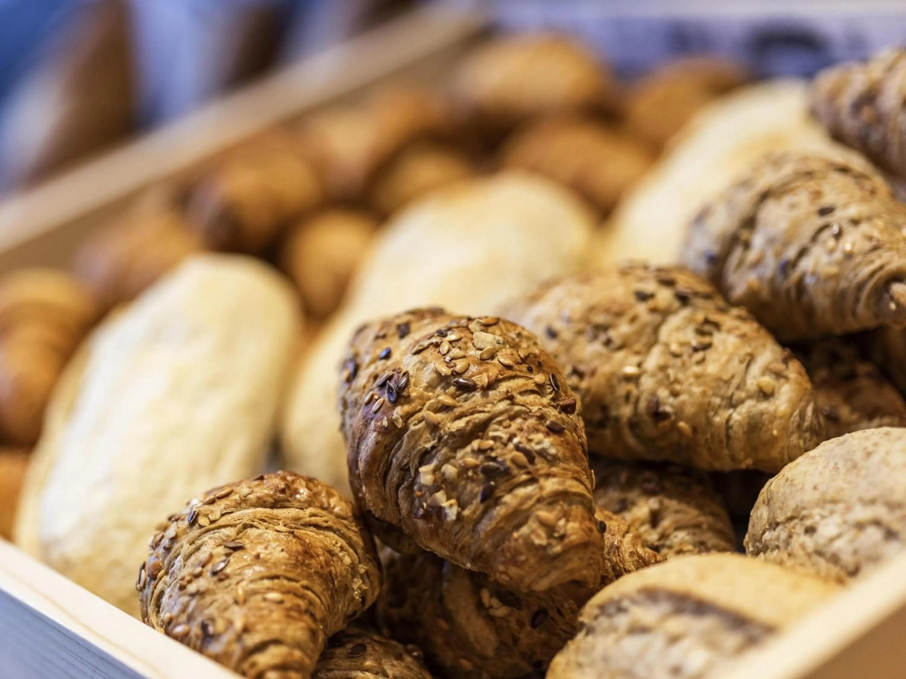 Breakfast in ibis Chia