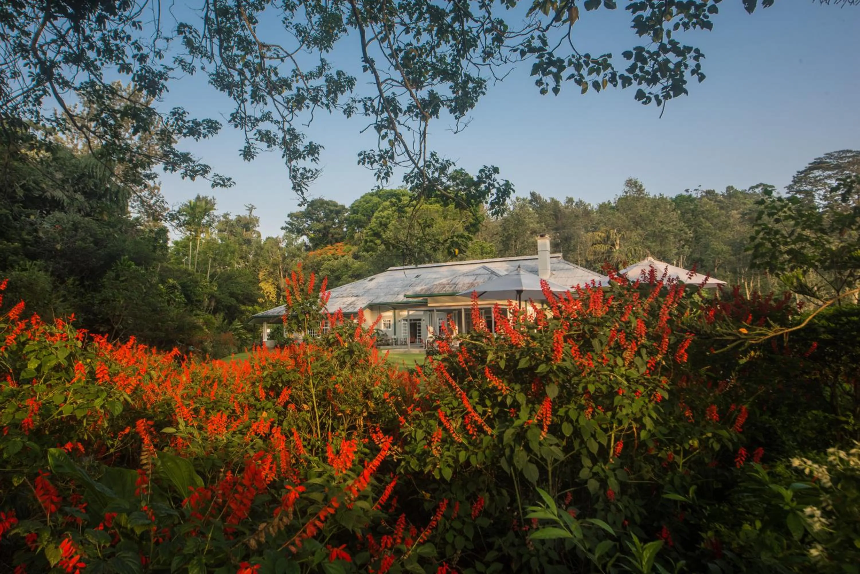 Garden in Nine Skies