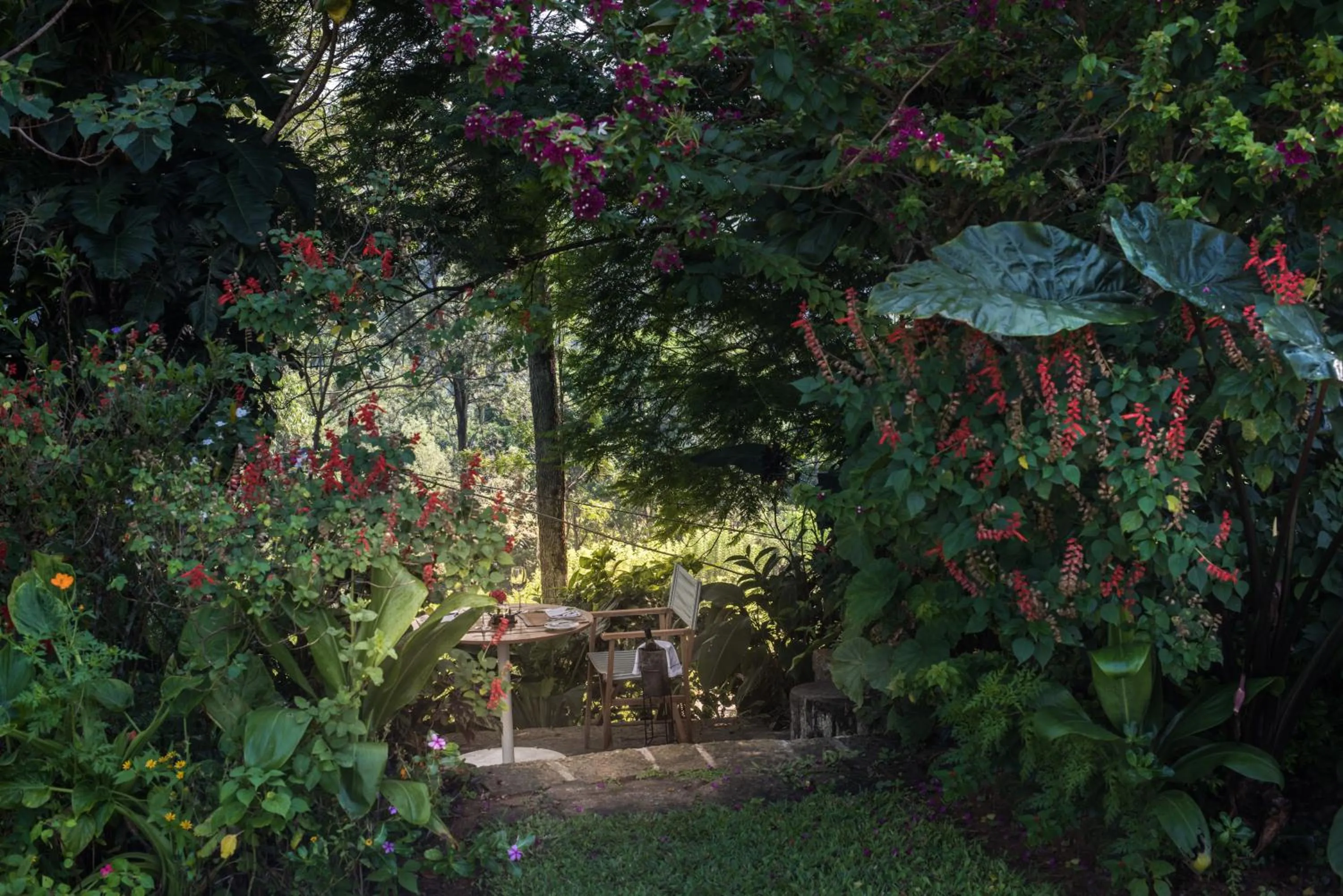 Garden in Nine Skies