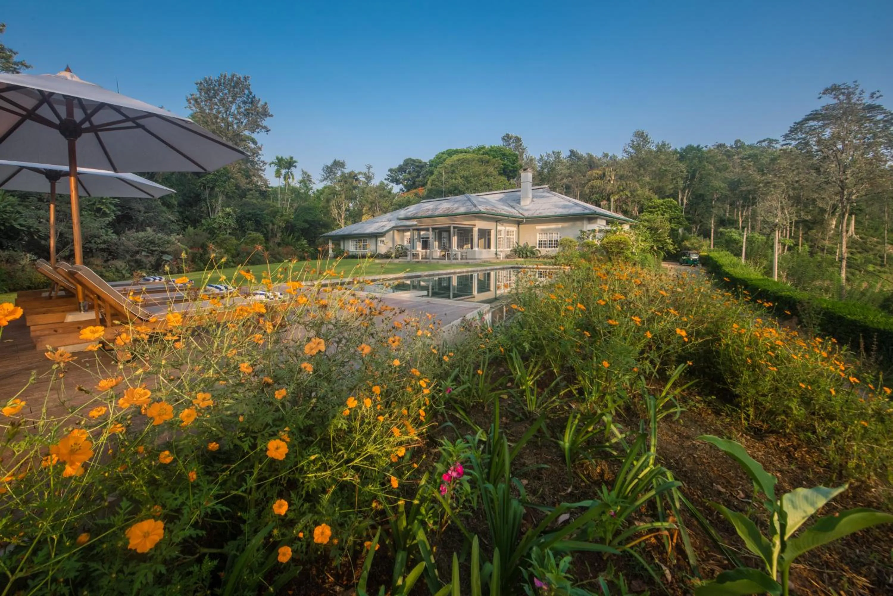 Garden in Nine Skies