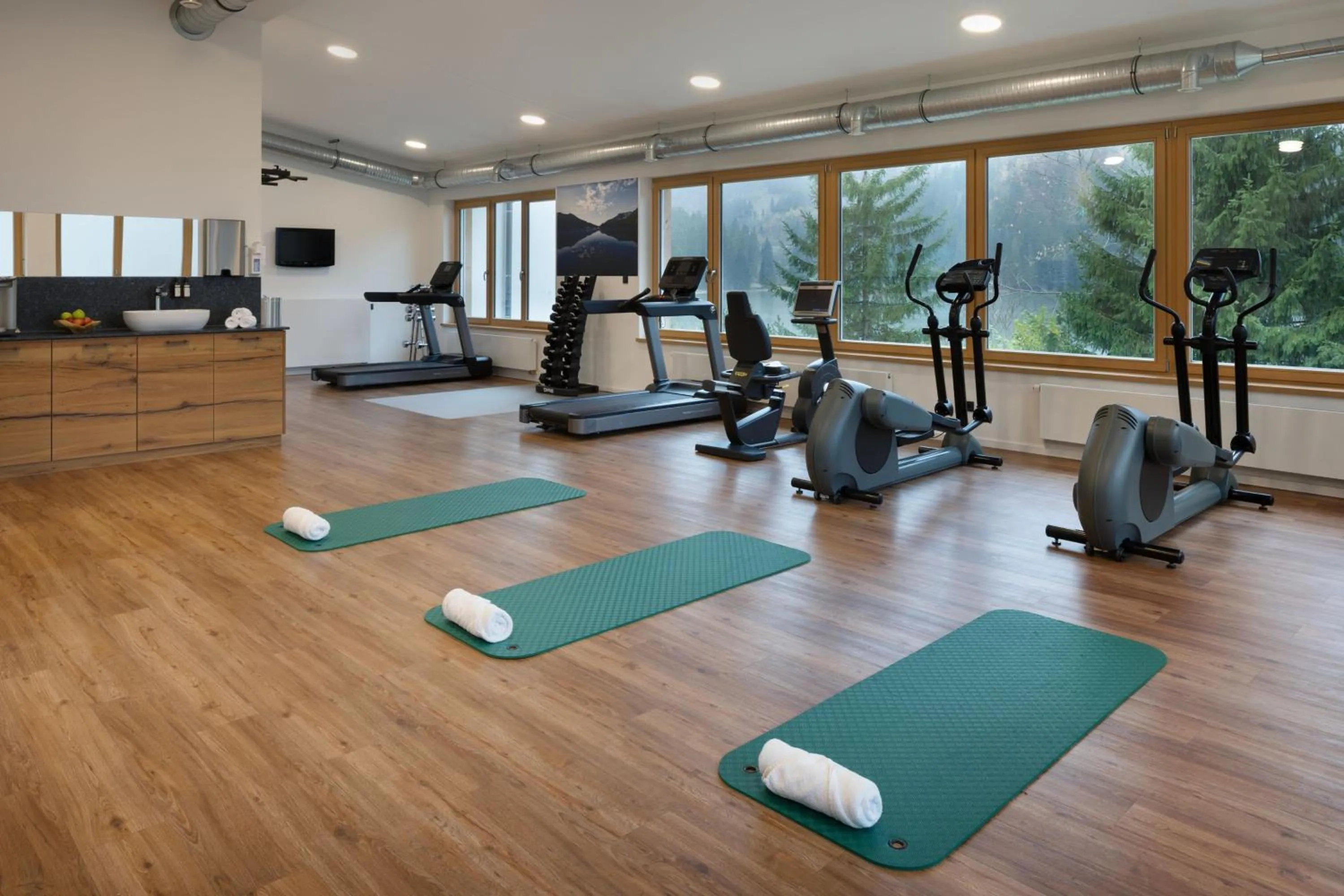 Fitness centre/facilities in Arabella Alpenhotel am Spitzingsee, a Tribute Portfolio Hotel