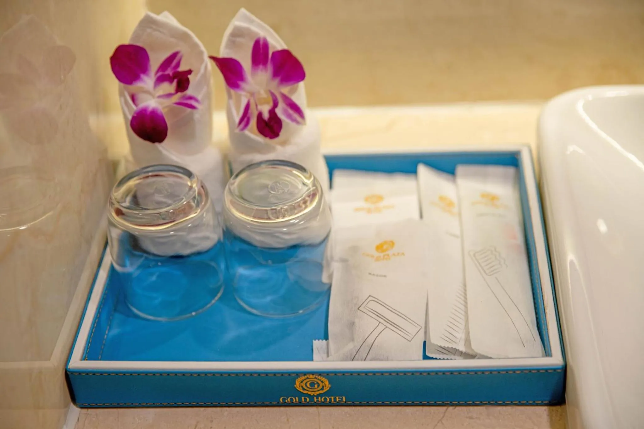 Area and facilities in Gold Plaza Hotel Da Nang