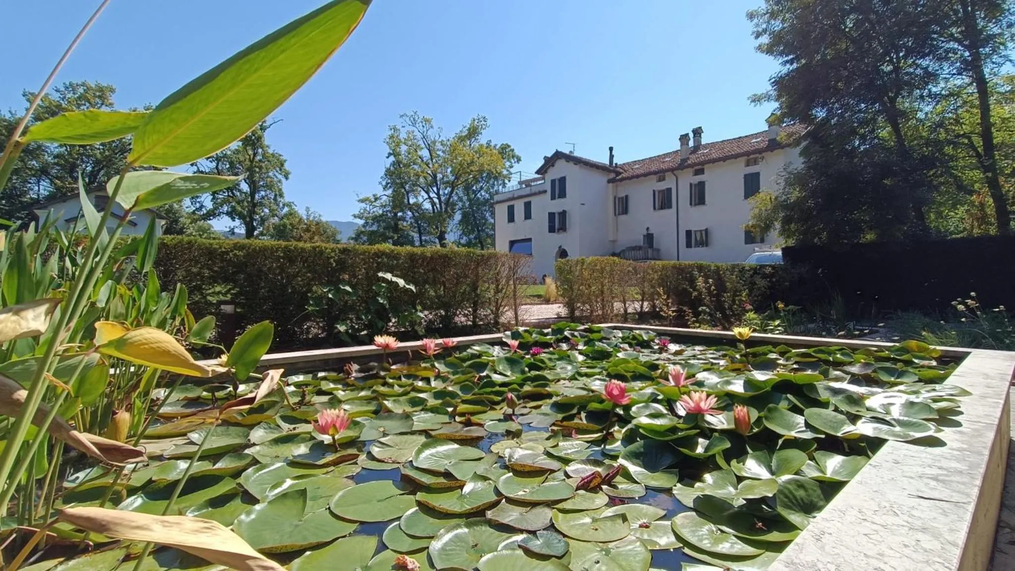 View (from property/room) in Villa San Liberale - Suites & Wellness - Villa Veneta