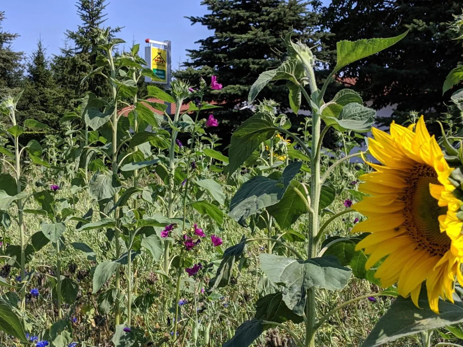 Off site in Landhotel Pathes Hof