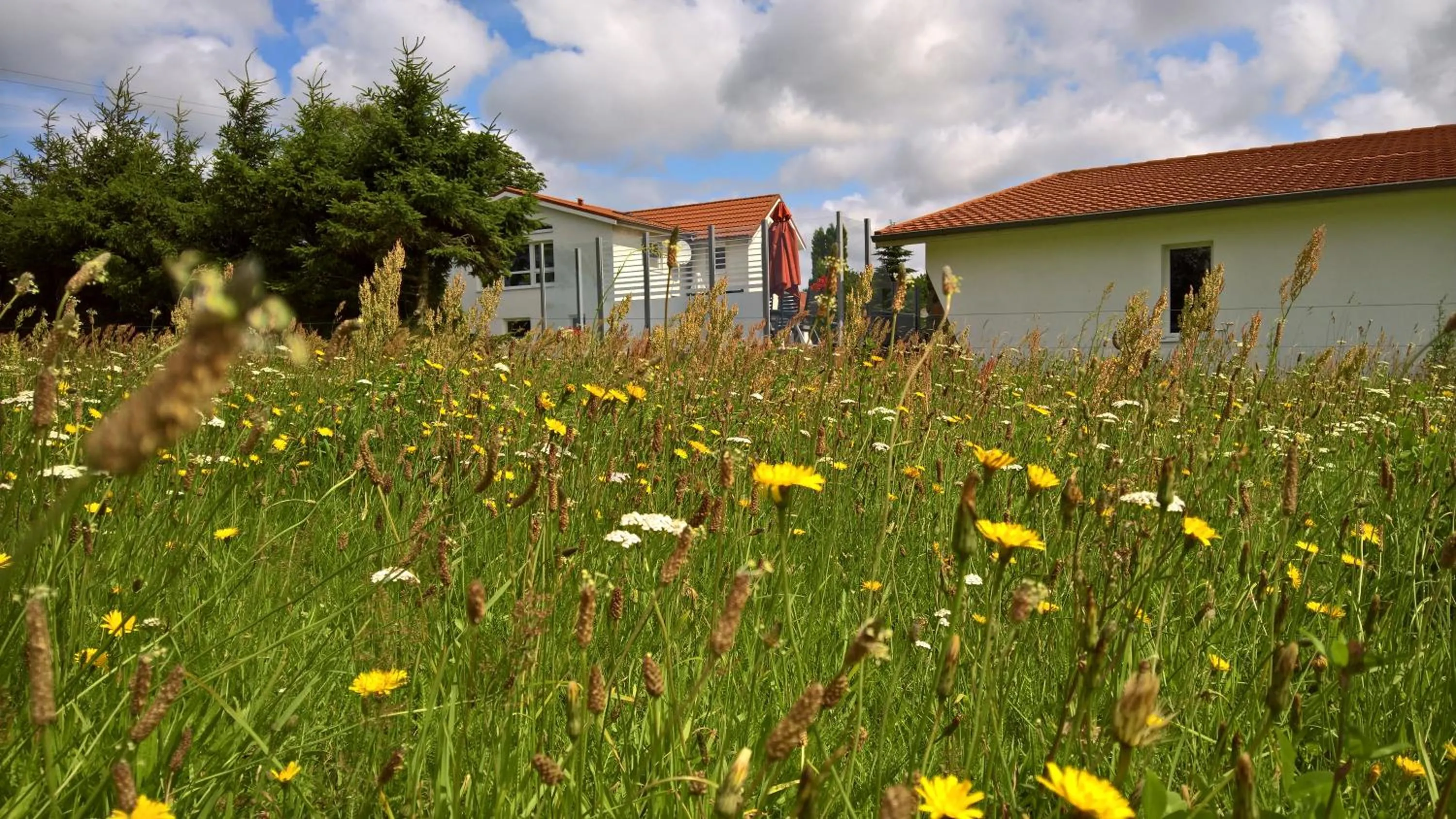 Other in Landhotel Pathes Hof