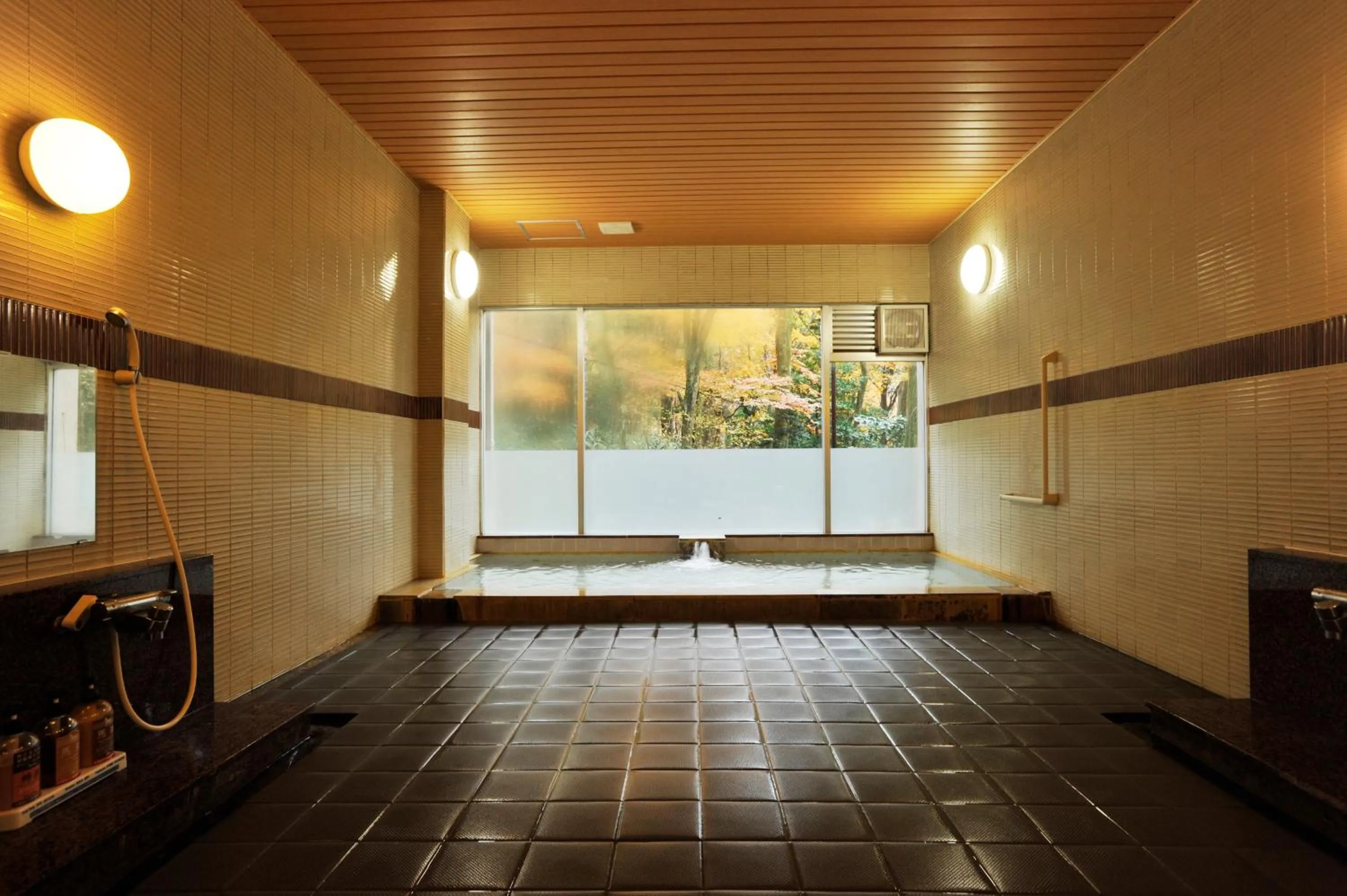 Hot Spring Bath in HESTA Hakone - GUEST HOUSE -