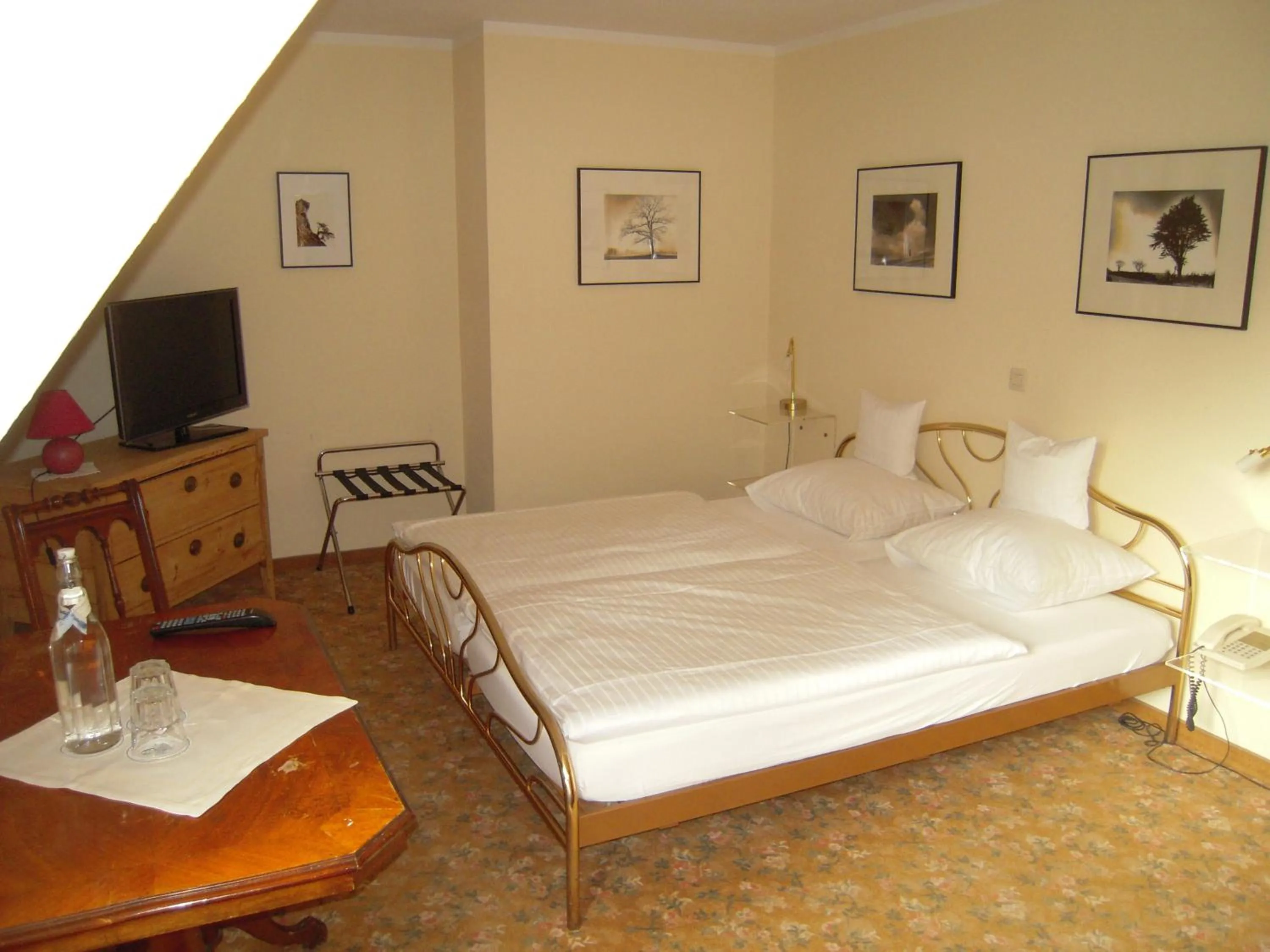 Double Room - single occupancy in Landgasthof Pleister Mühle