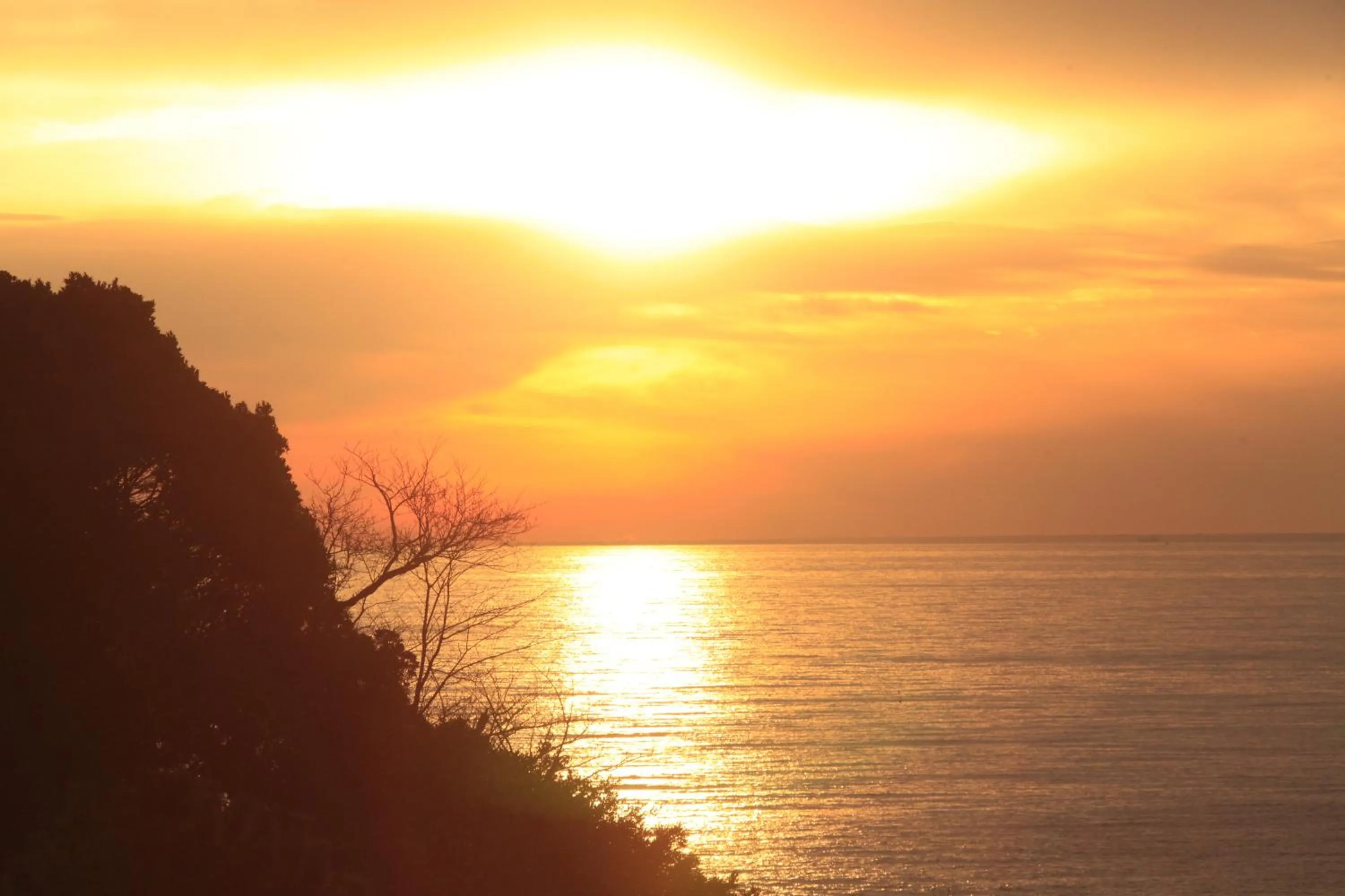 Off site in Nishiizu Koyoi