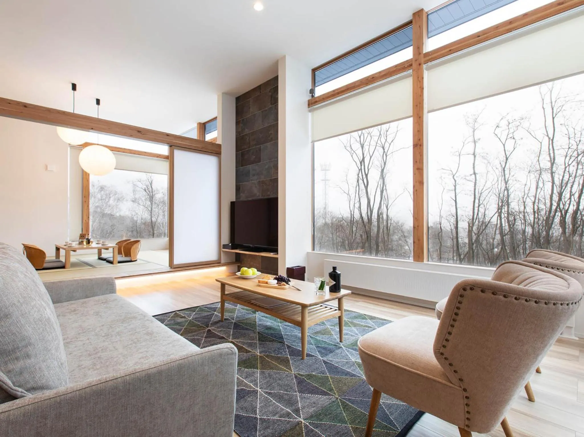 TV and multimedia in Aoyama Lodge