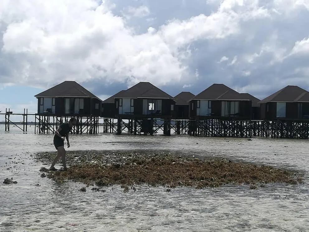 Sea Star Resort Semporna