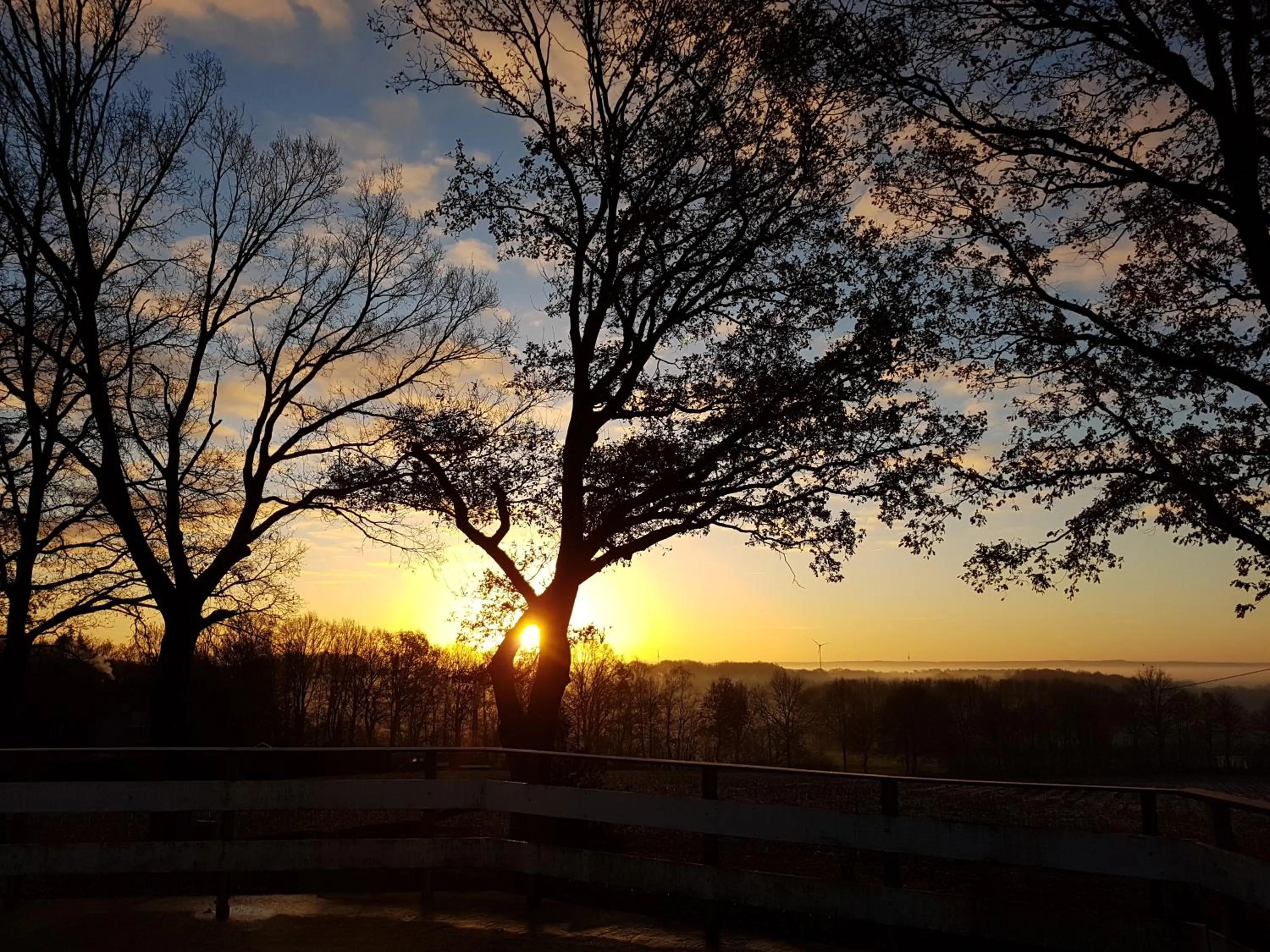 View (from property/room) in Berghotel Hohe Mark