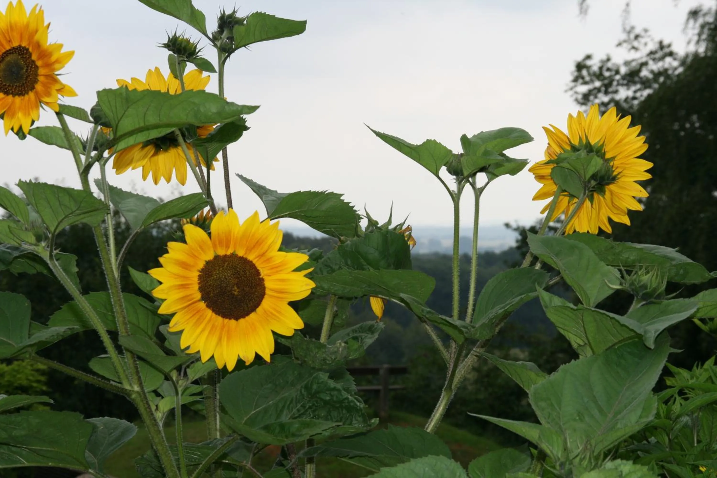 Other in Berghotel Hohe Mark