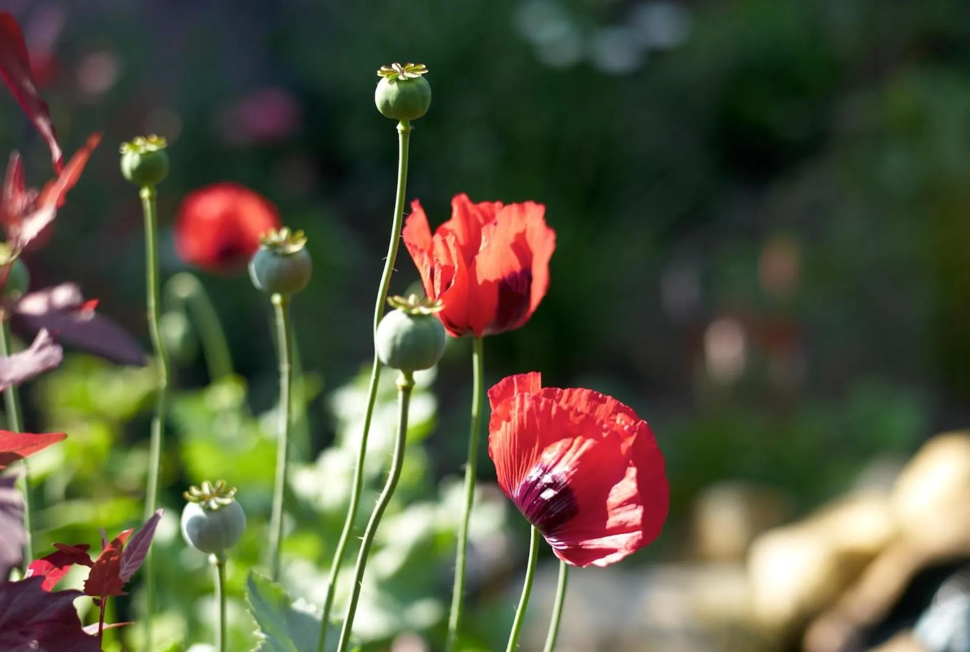 Other in Berghotel Hohe Mark