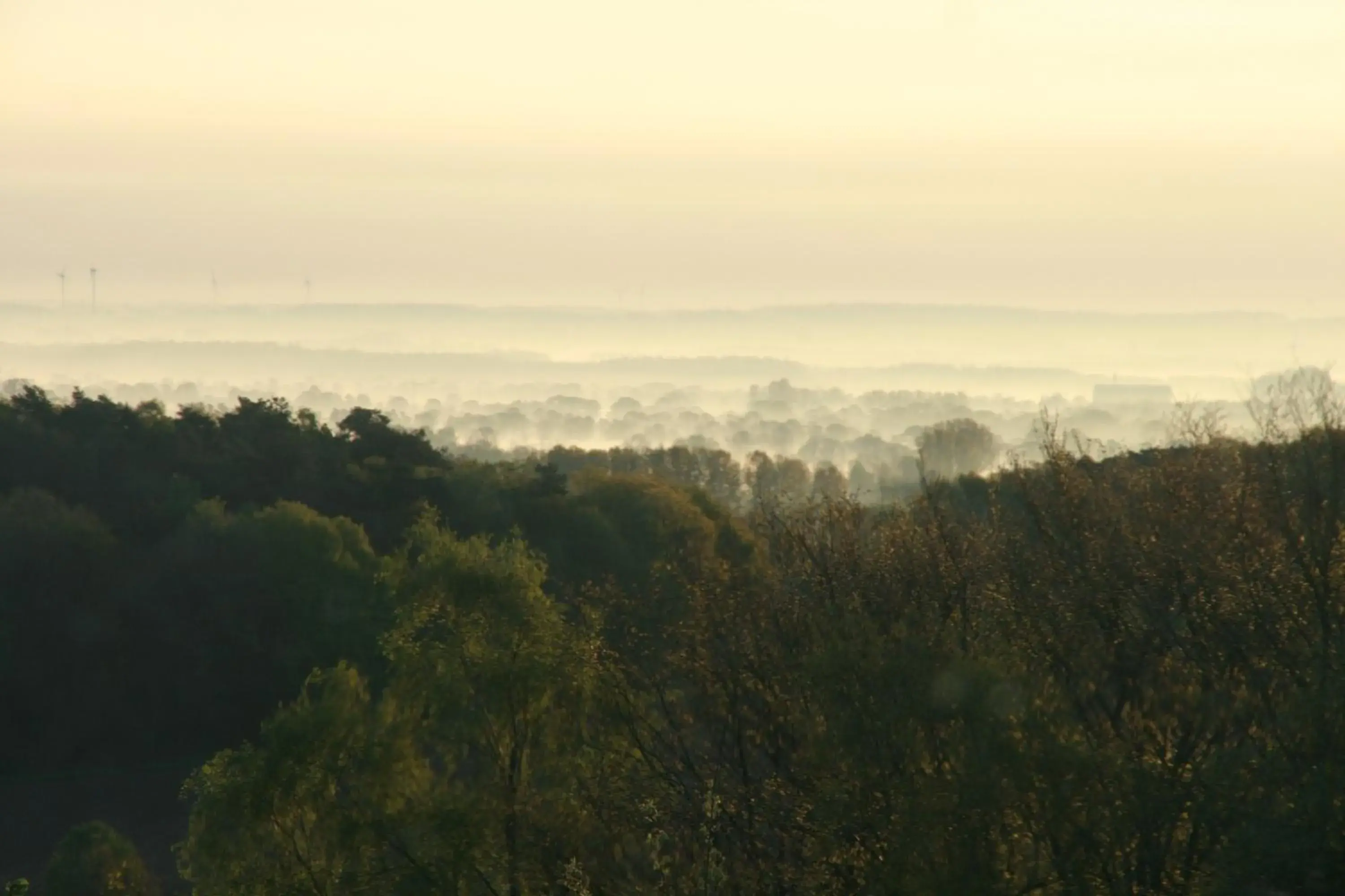 Suite in Berghotel Hohe Mark Suite in Berghotel Hohe Mark