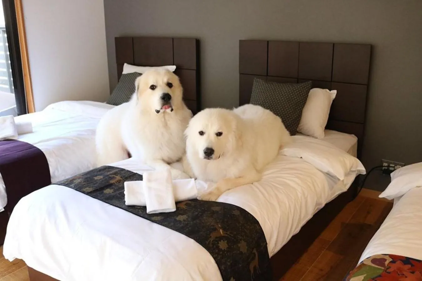 Bed in Miyajima Shiro